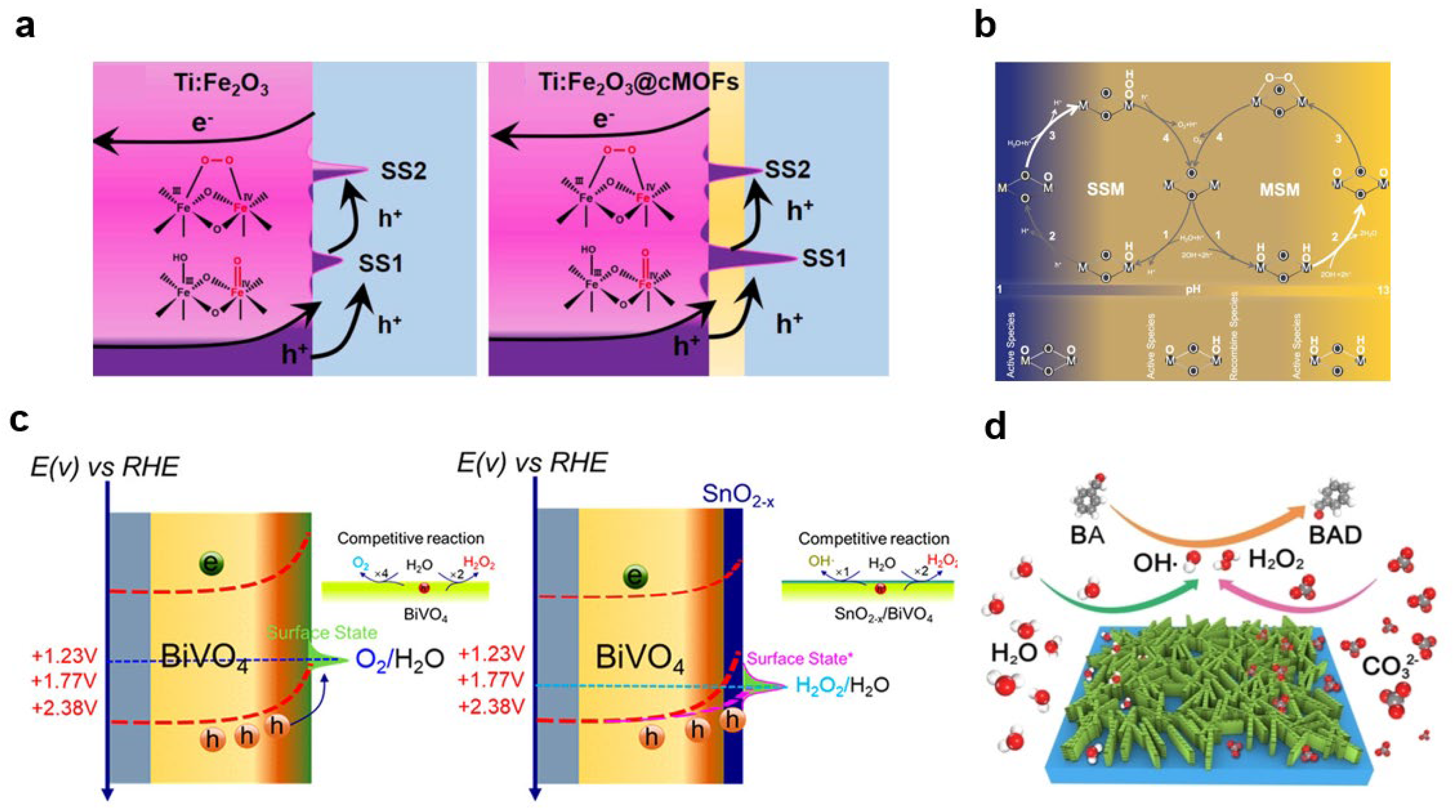 Nanomaterials 13 01919 g008