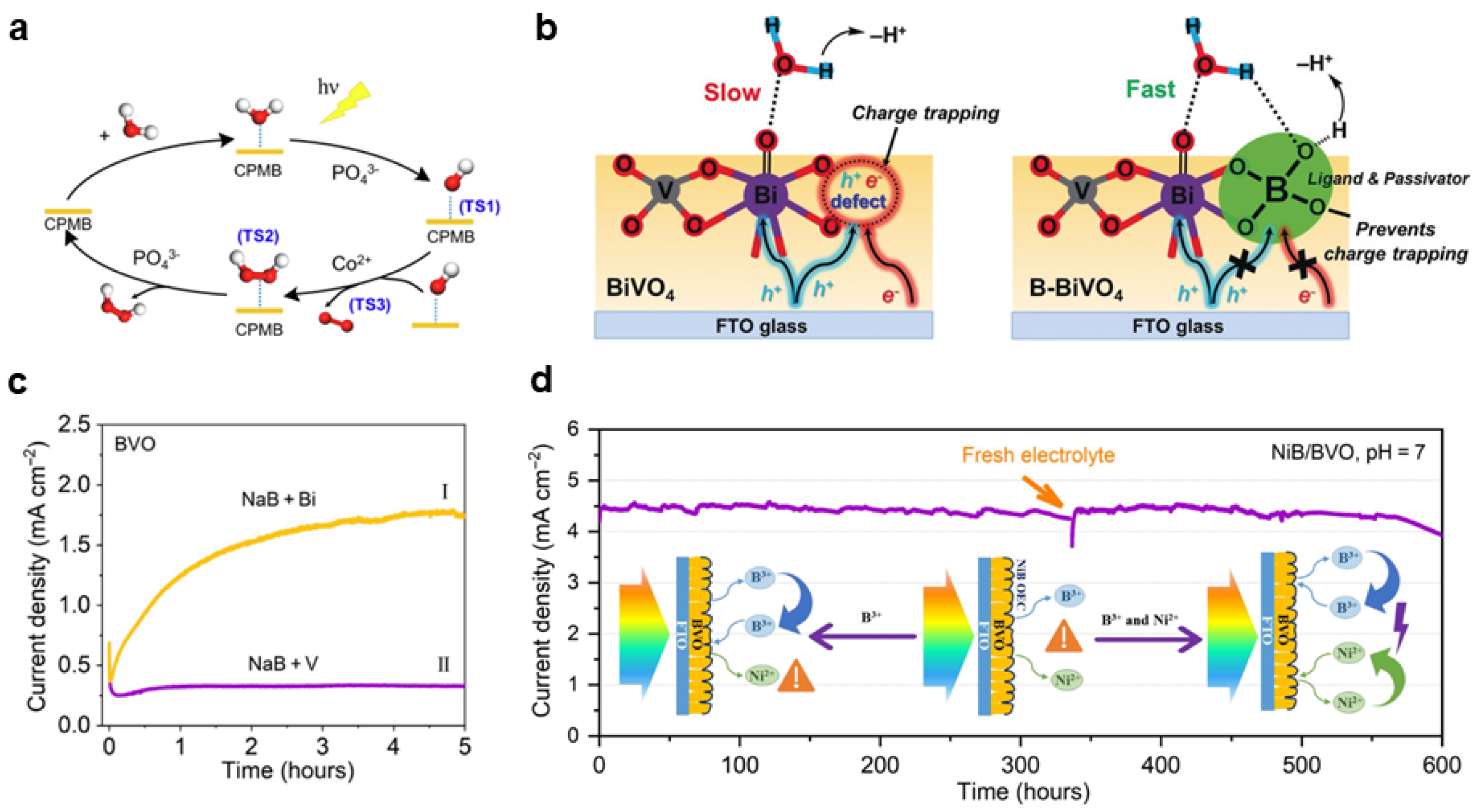 Nanomaterials 13 01919 g009