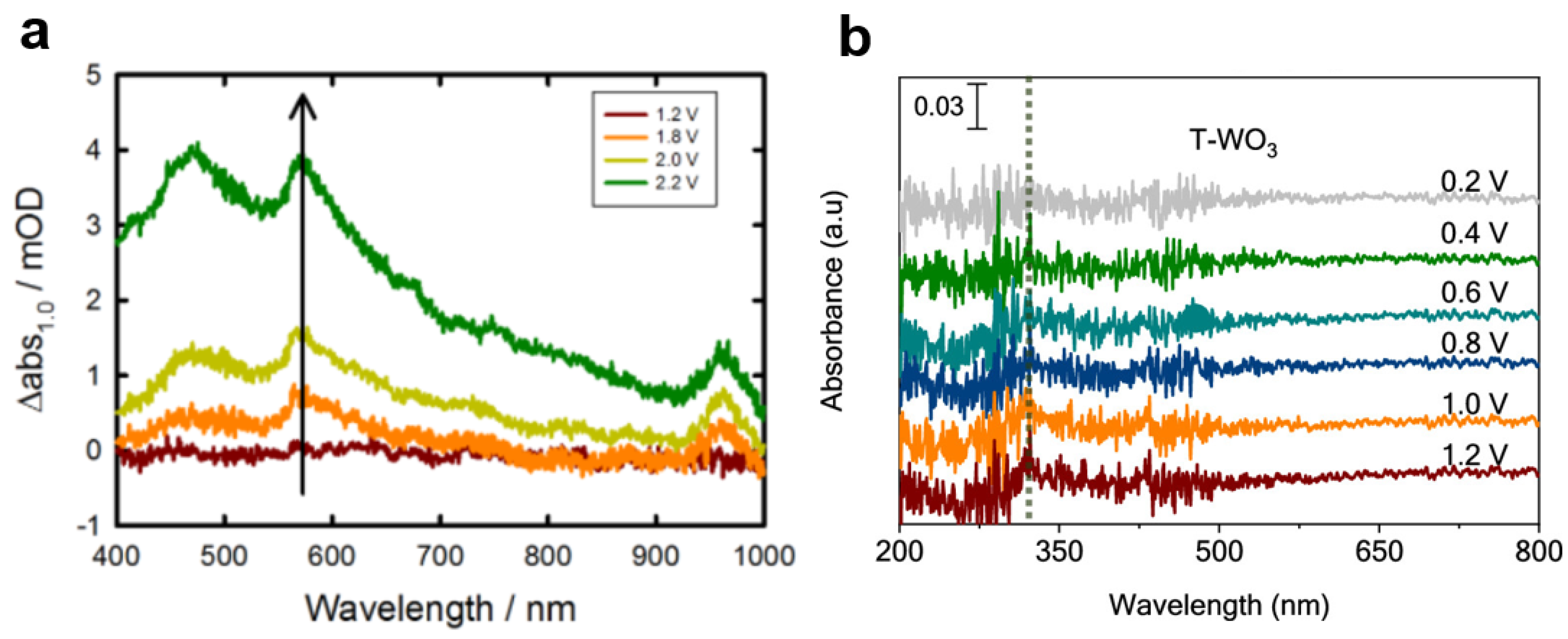 Nanomaterials 13 01919 g012
