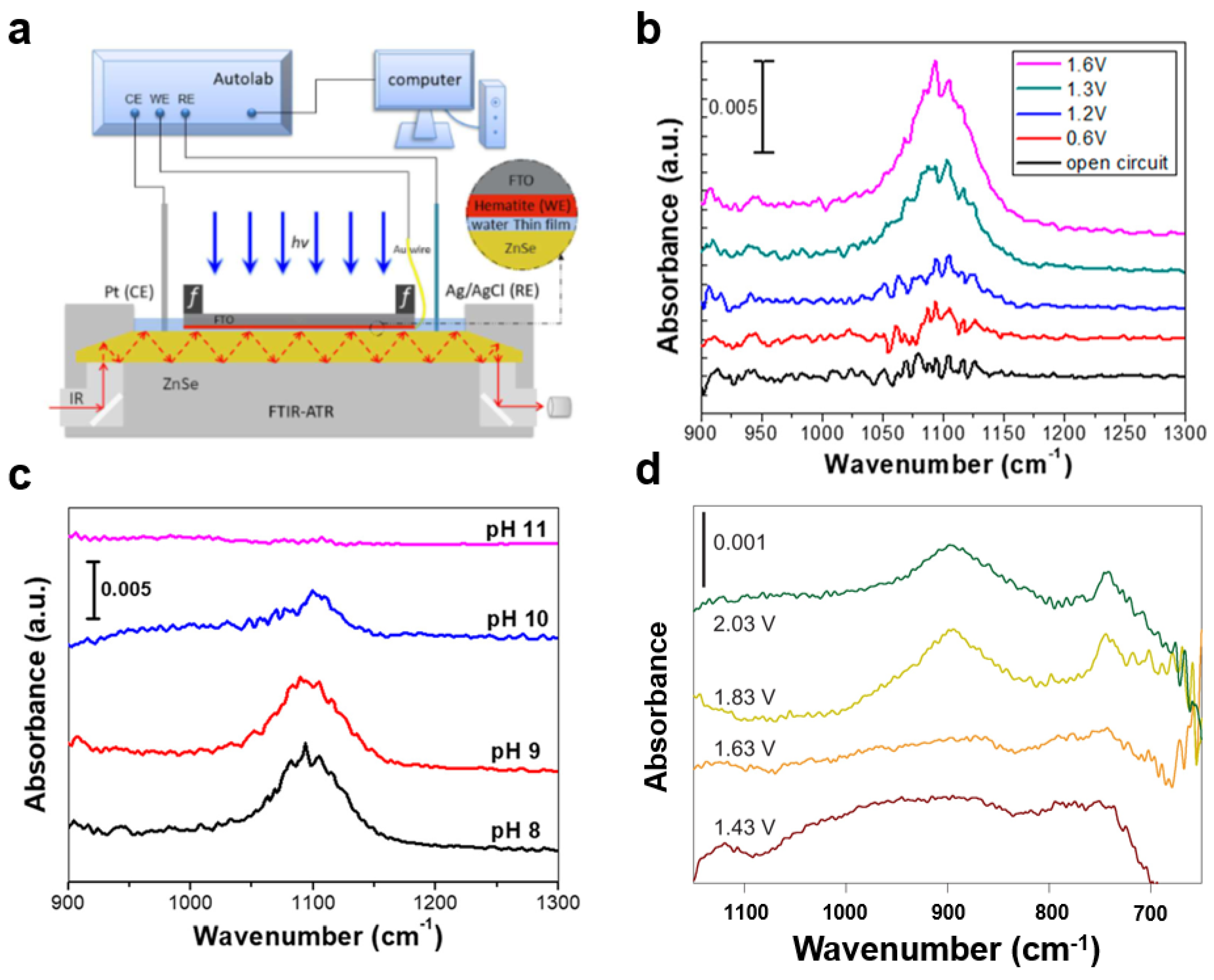 Nanomaterials 13 01919 g013
