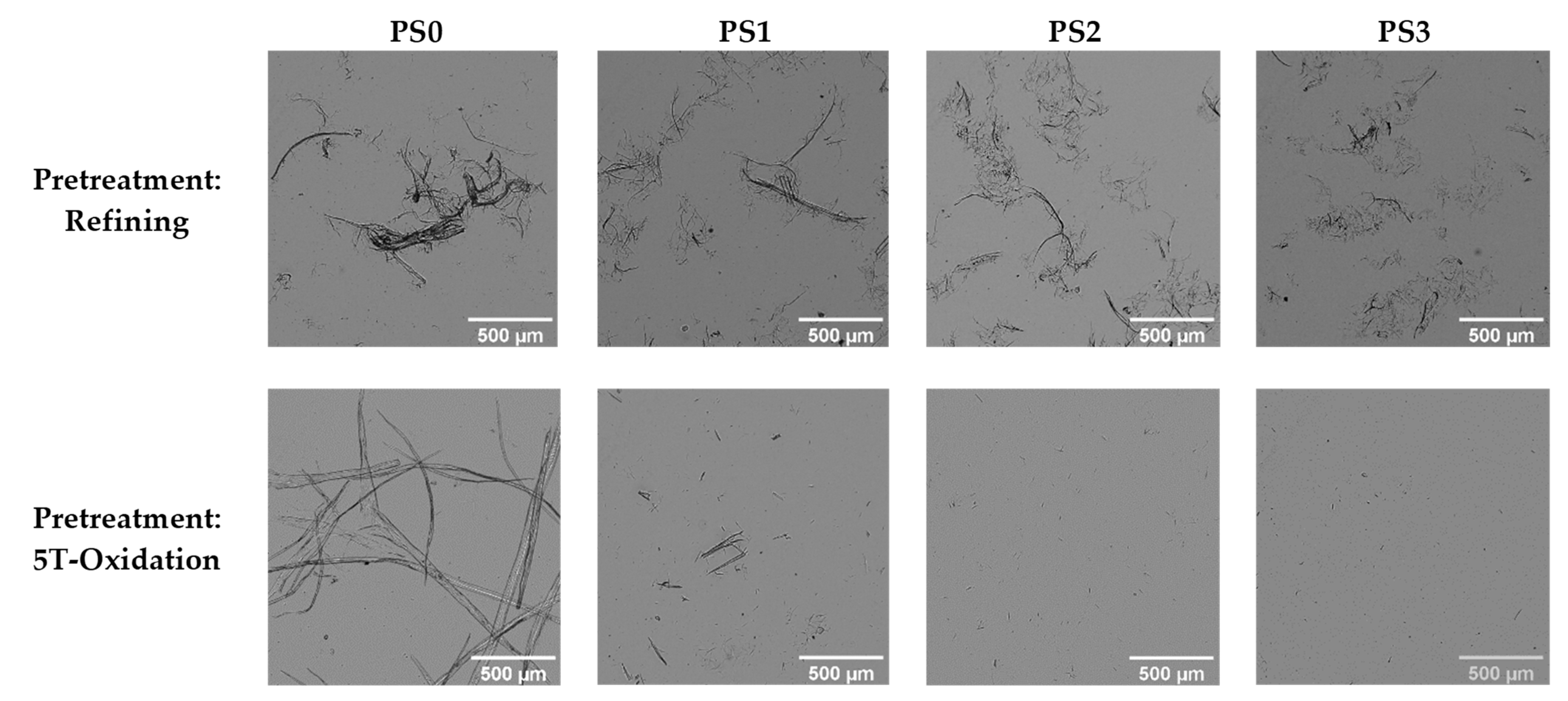 Nanomaterials 13 01931 g004