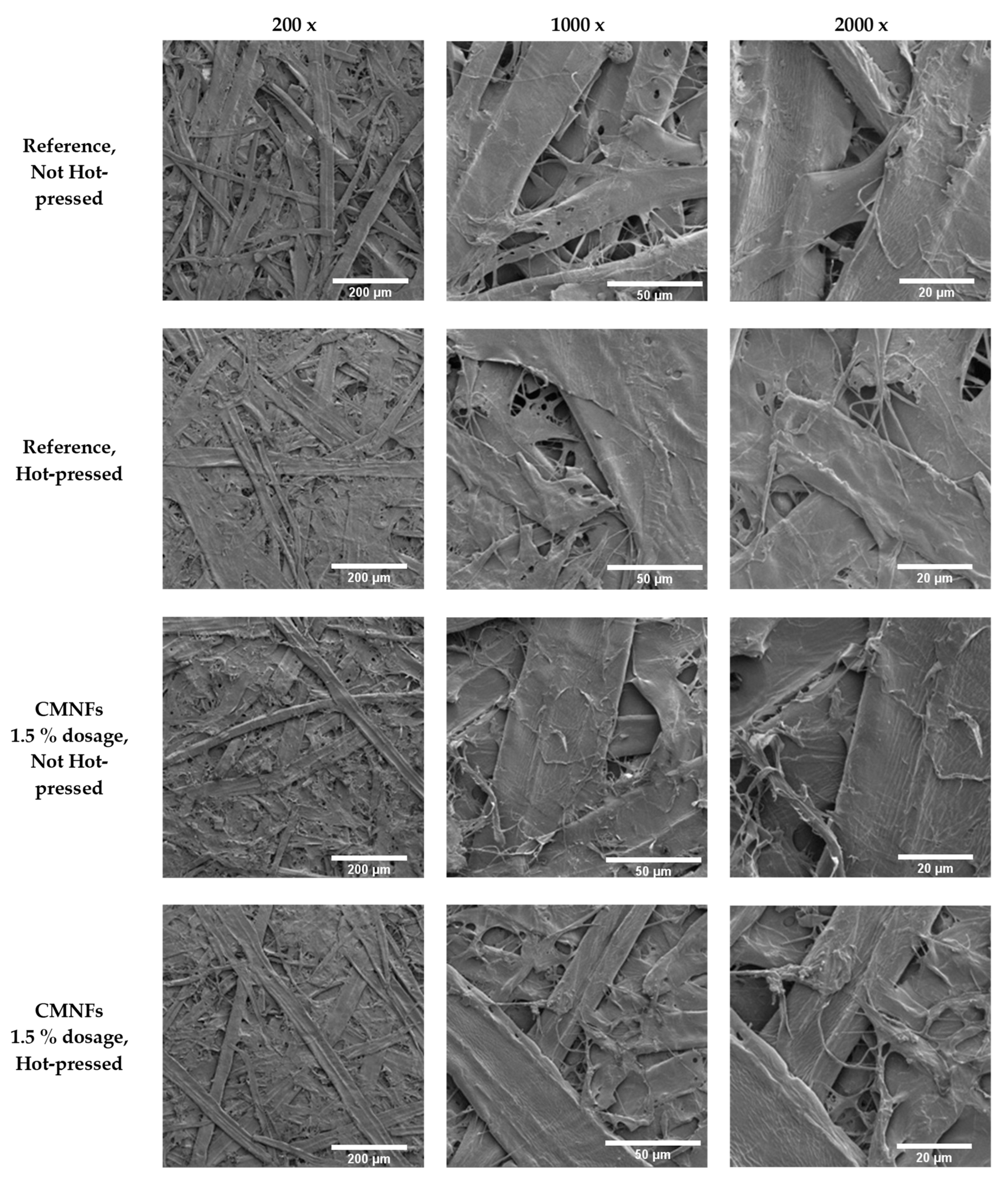 Nanomaterials 13 01931 g008