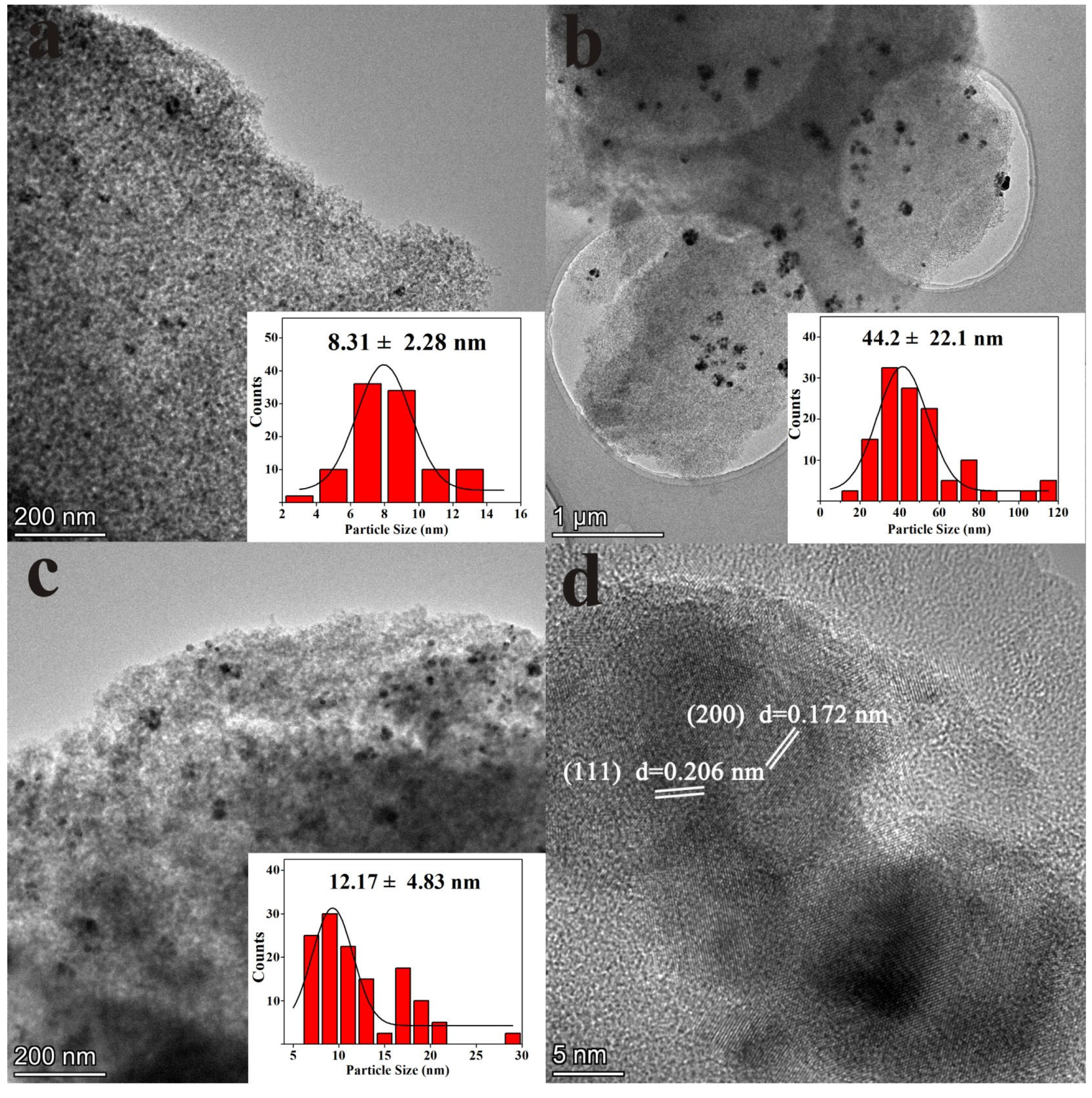 Nanomaterials 13 01939 g004