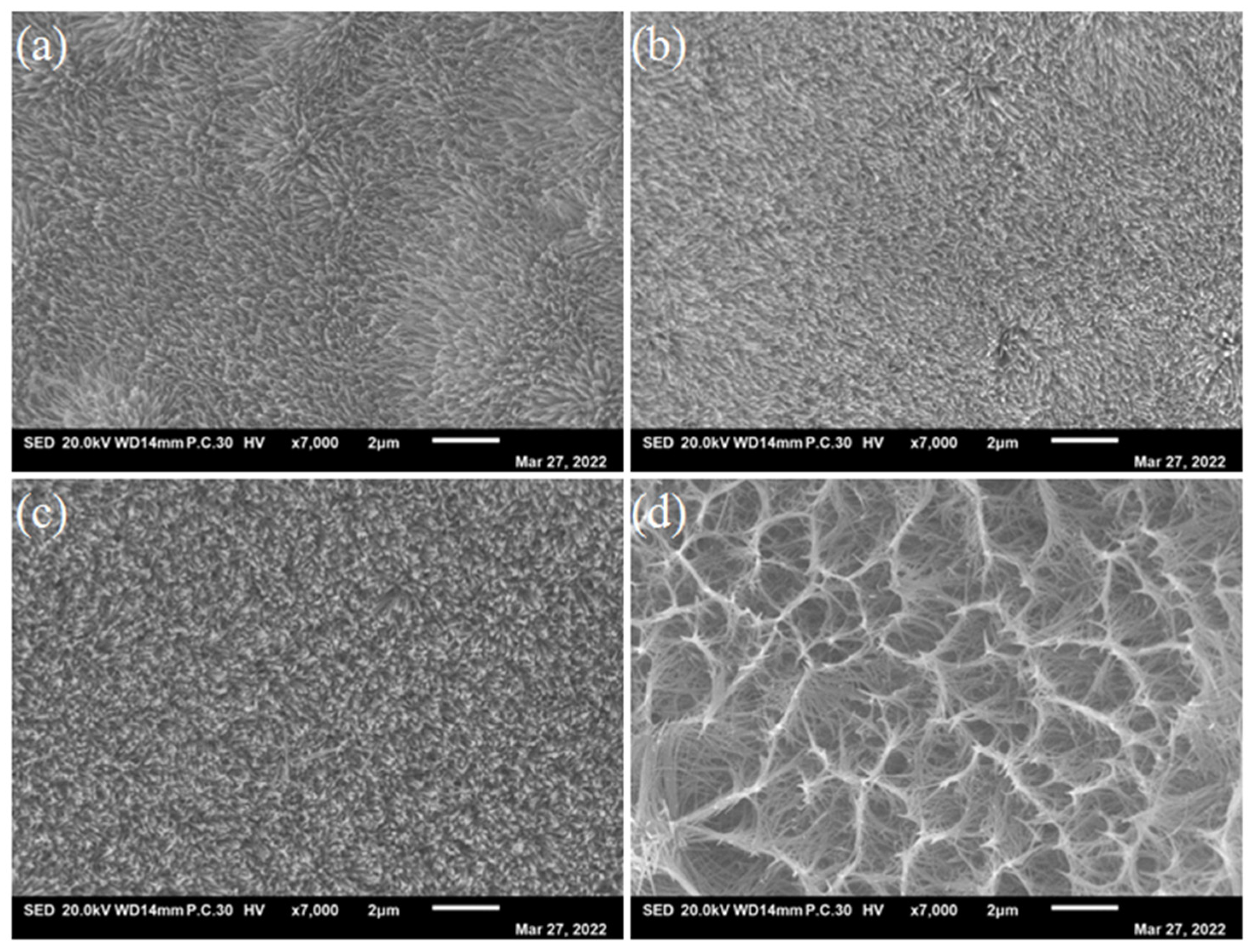 Nanomaterials 13 01941 g003