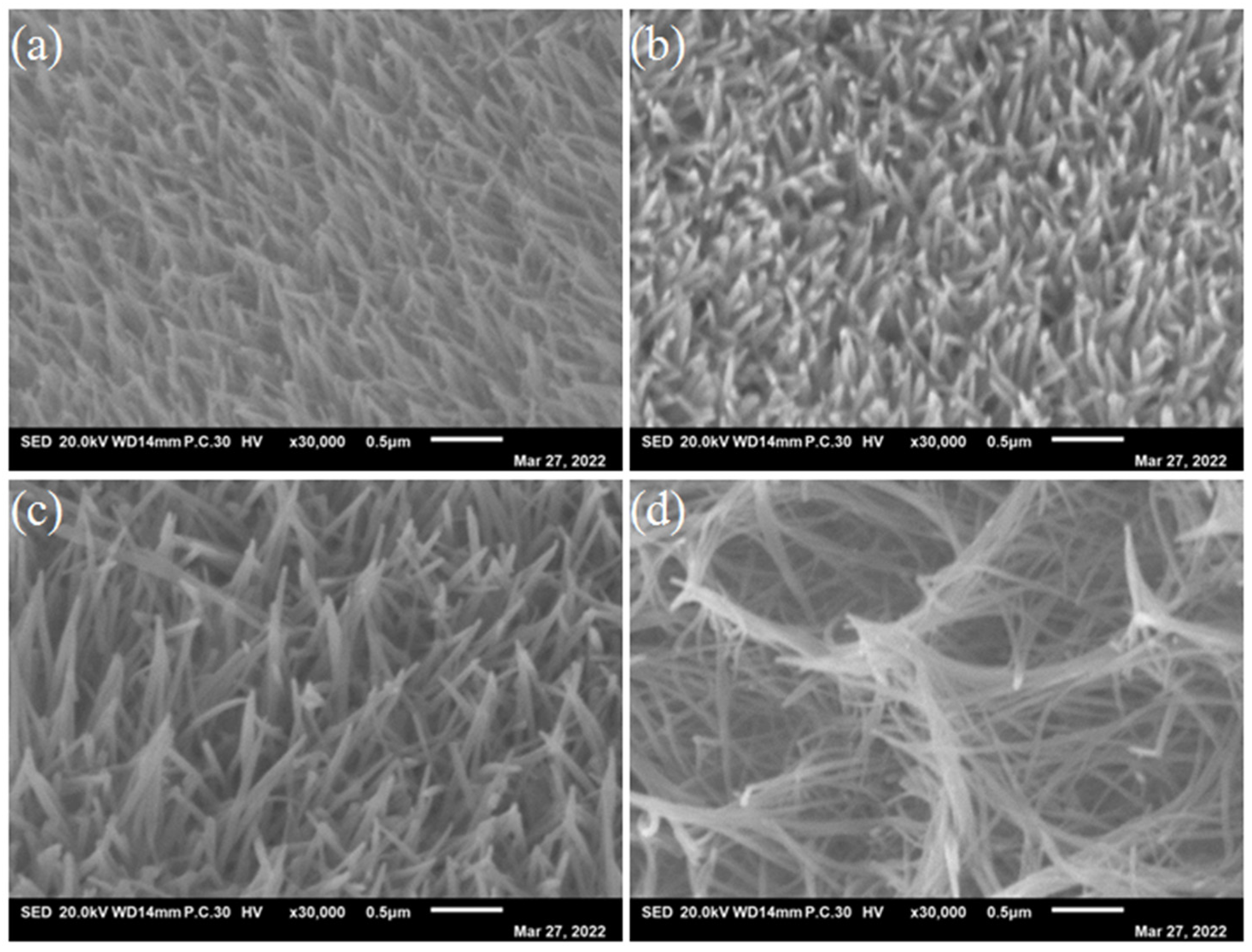 Nanomaterials 13 01941 g004