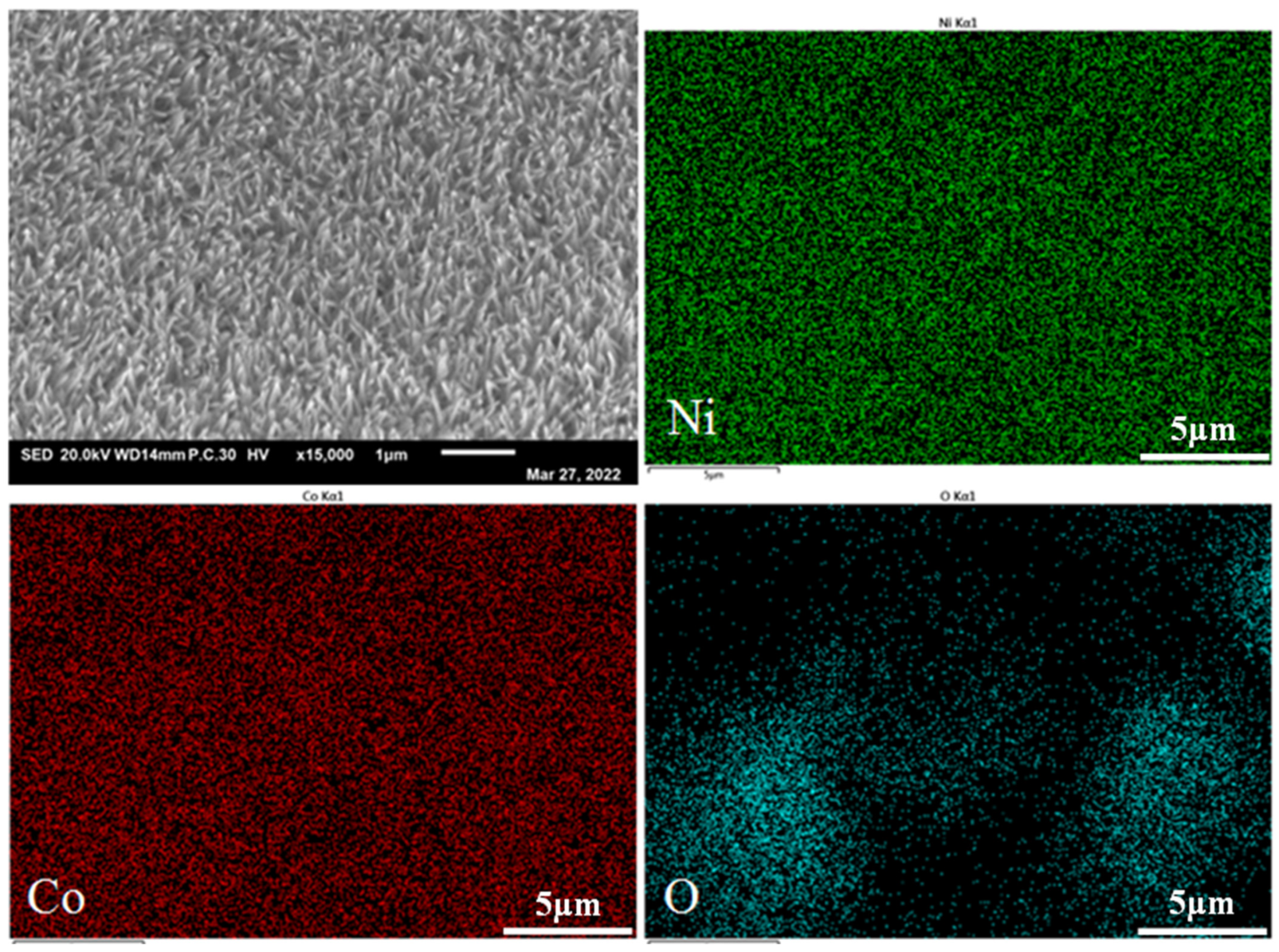 Nanomaterials 13 01941 g007a