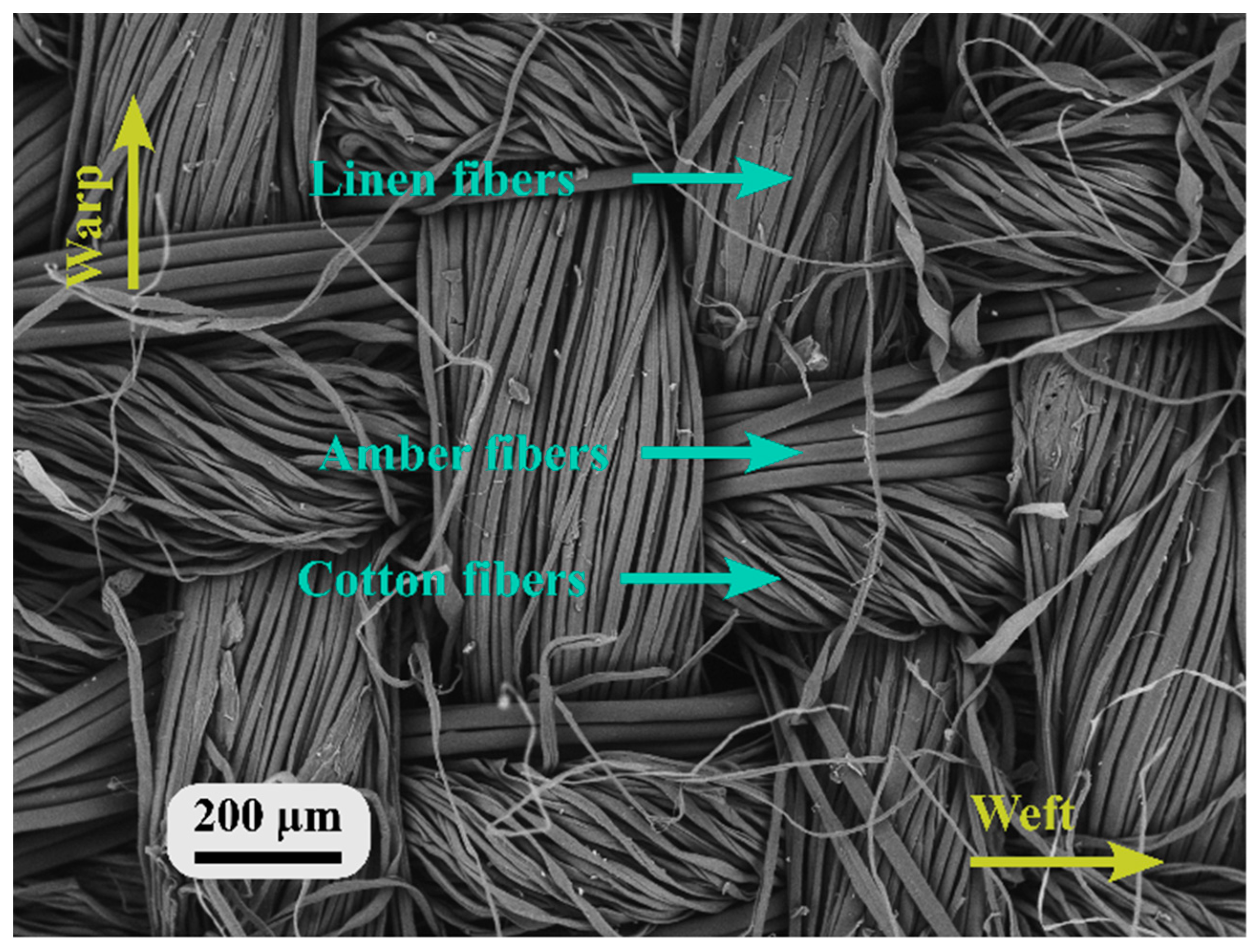 Nanomaterials 13 01949 g003 Nanomaterials 13 01949 g003