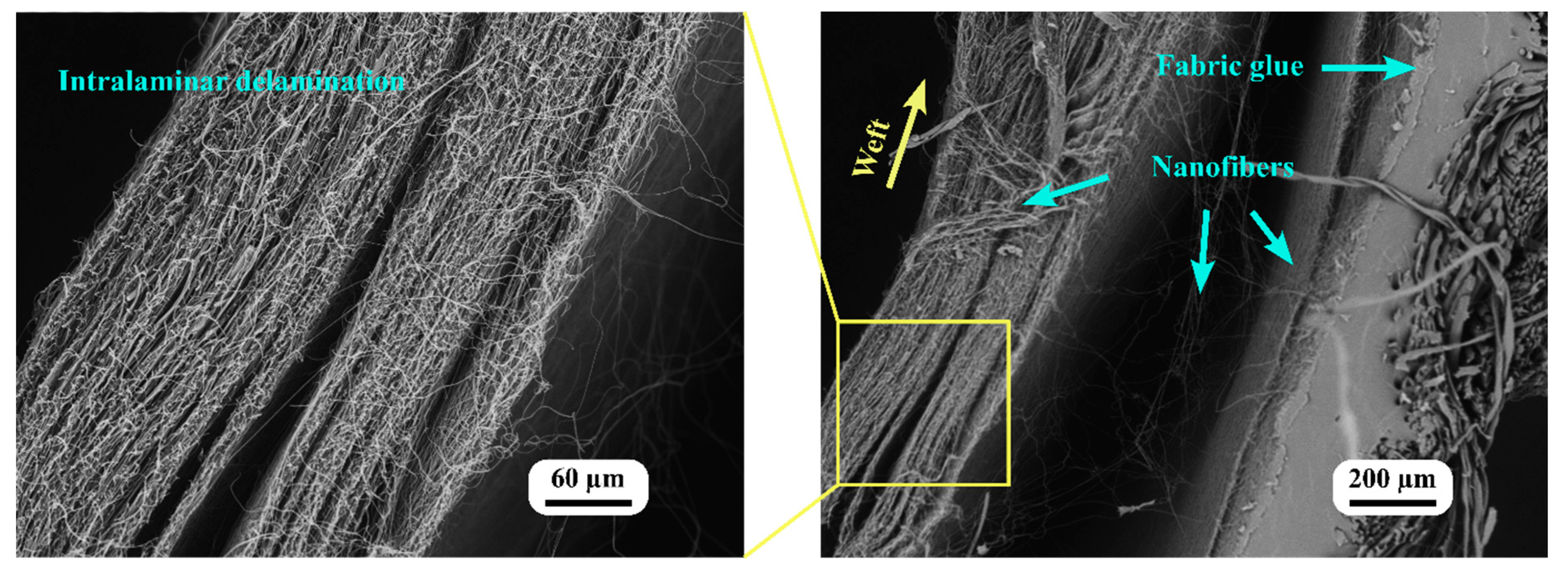 Nanomaterials 13 01949 g010 Nanomaterials 13 01949 g010