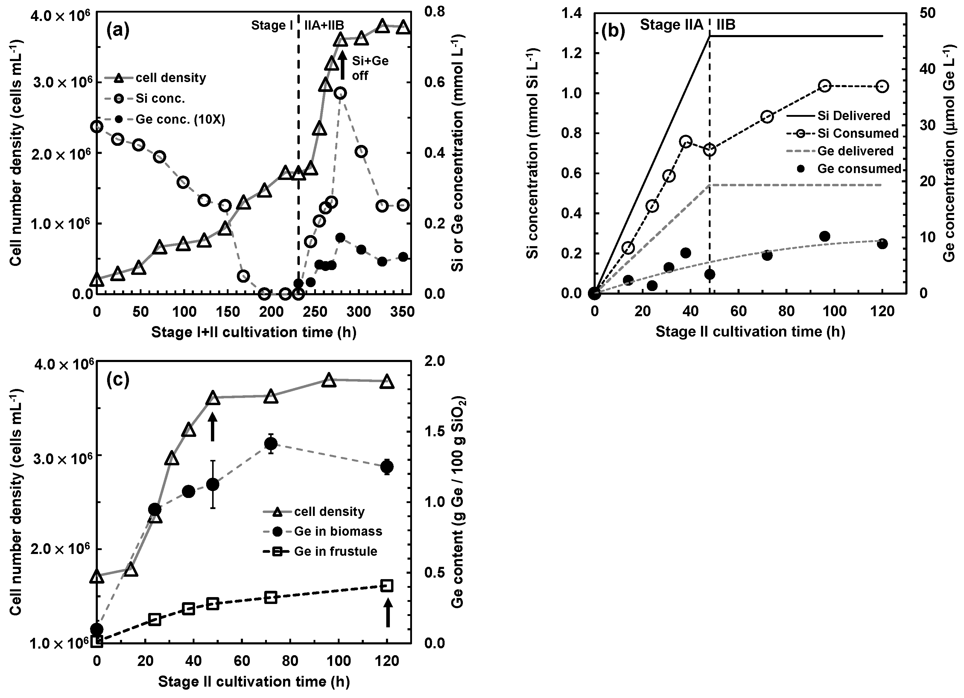 Nanomaterials 13 01950 g002