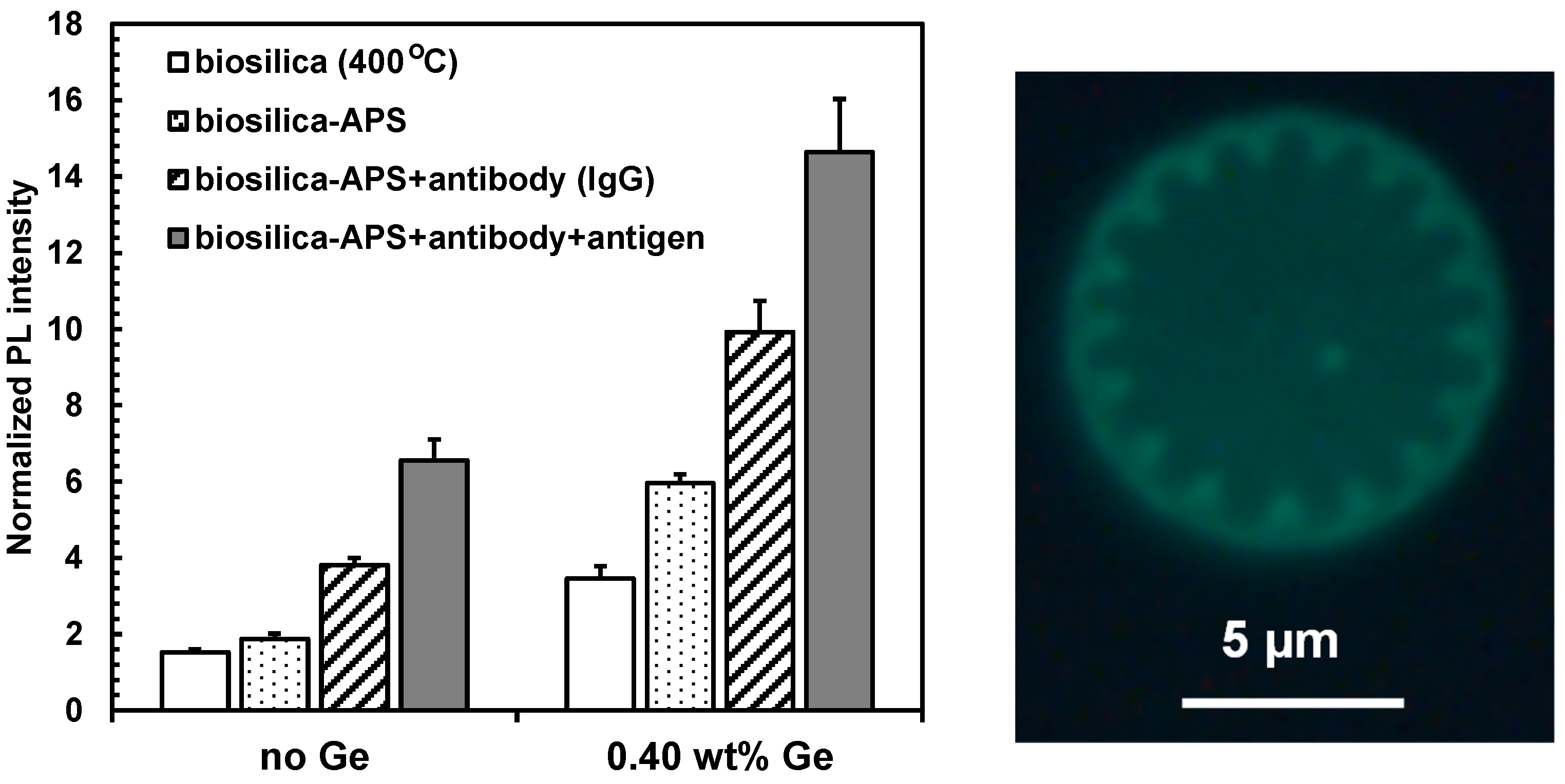 Nanomaterials 13 01950 g005