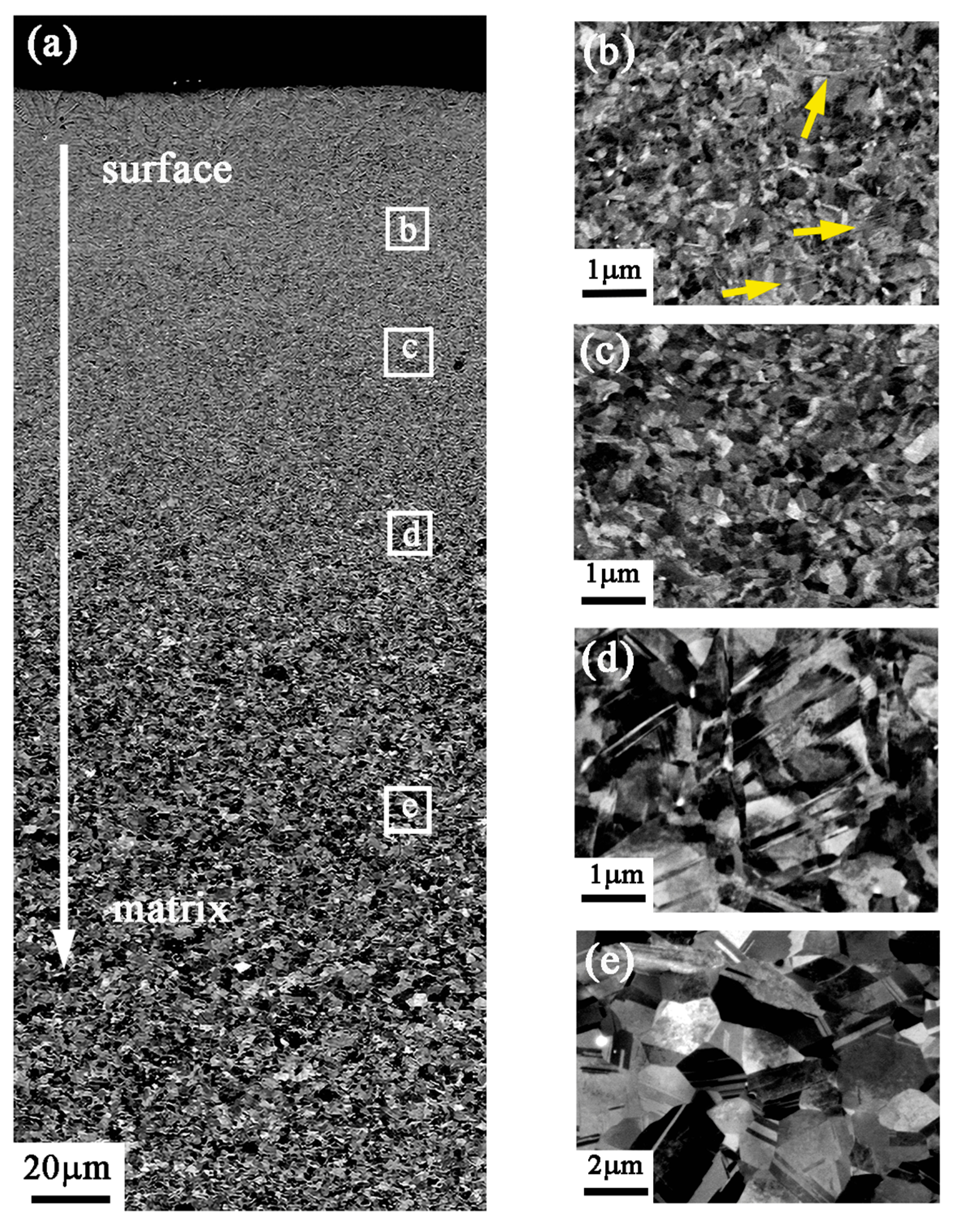 Nanomaterials 13 01954 g004
