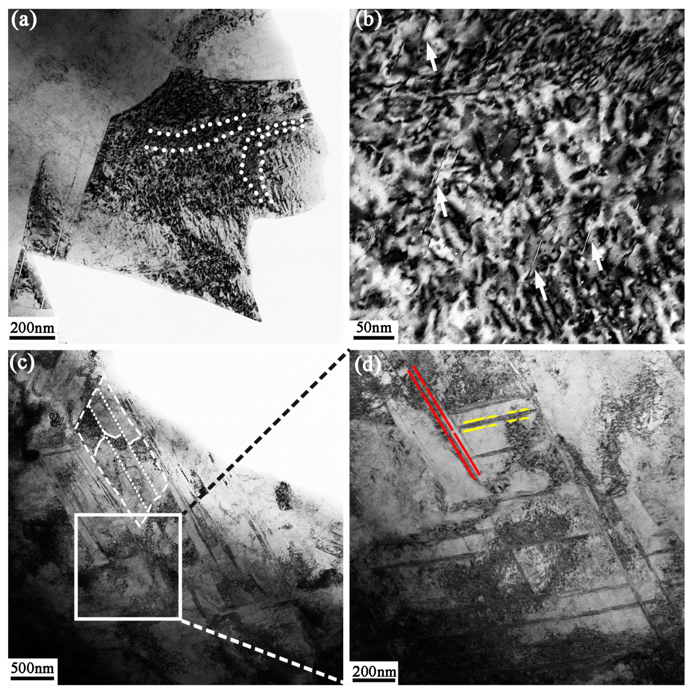 Nanomaterials 13 01954 g006