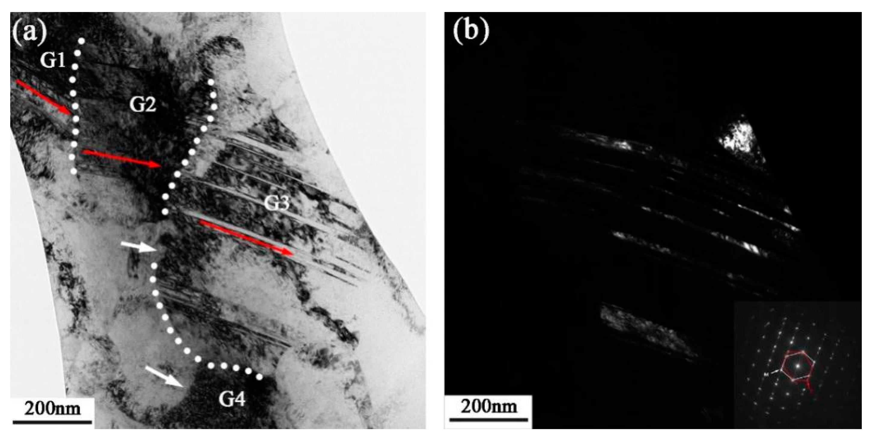 Nanomaterials 13 01954 g007
