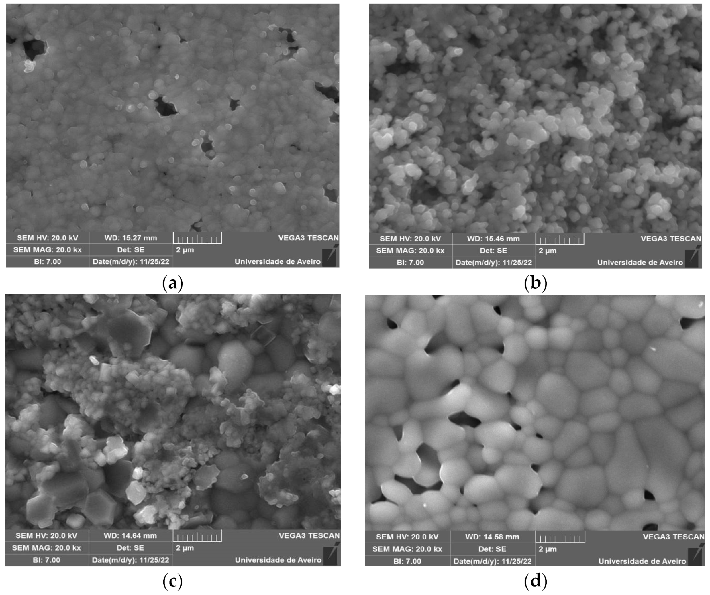 Nanomaterials 13 01955 g004