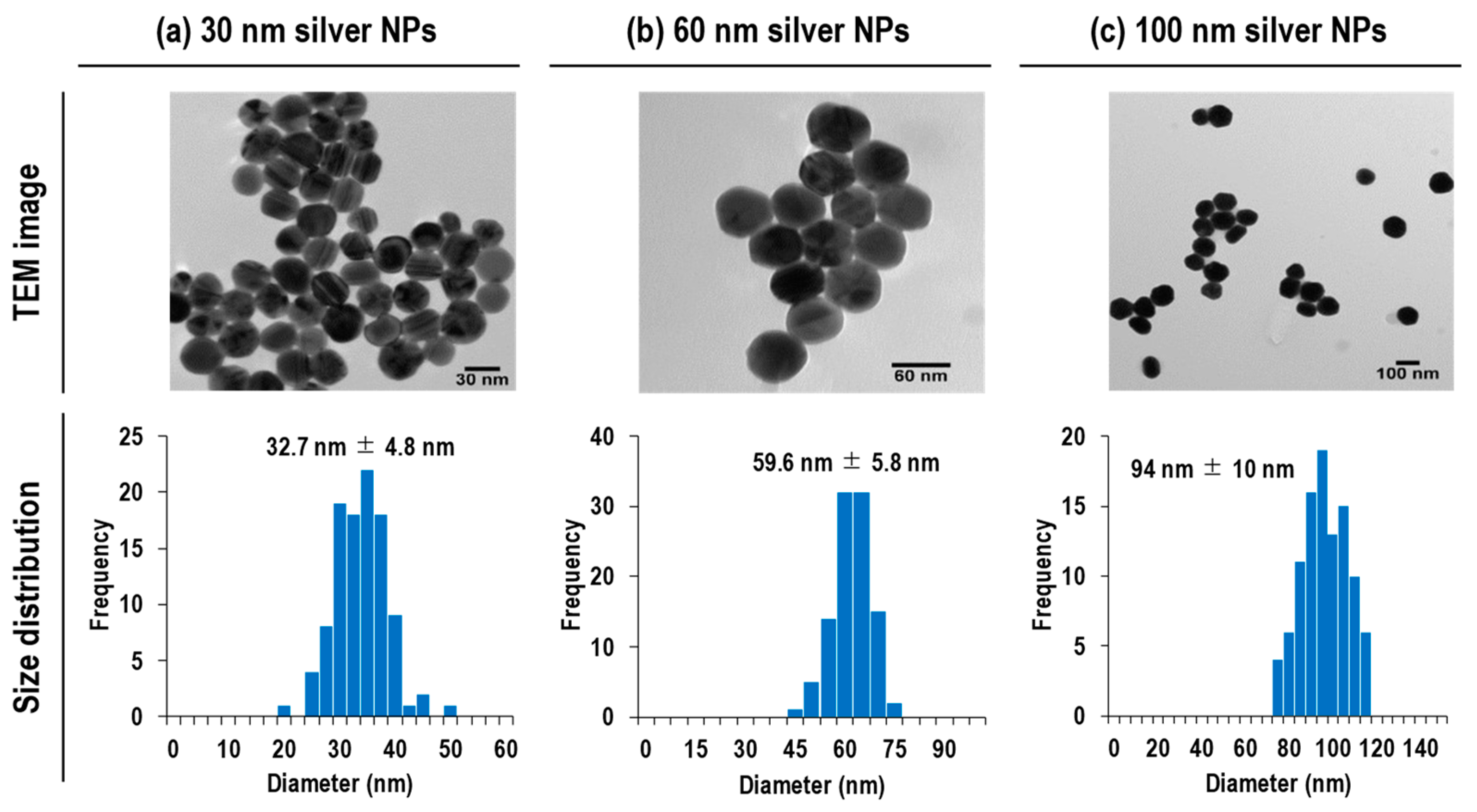 Nanomaterials 13 01958 g001