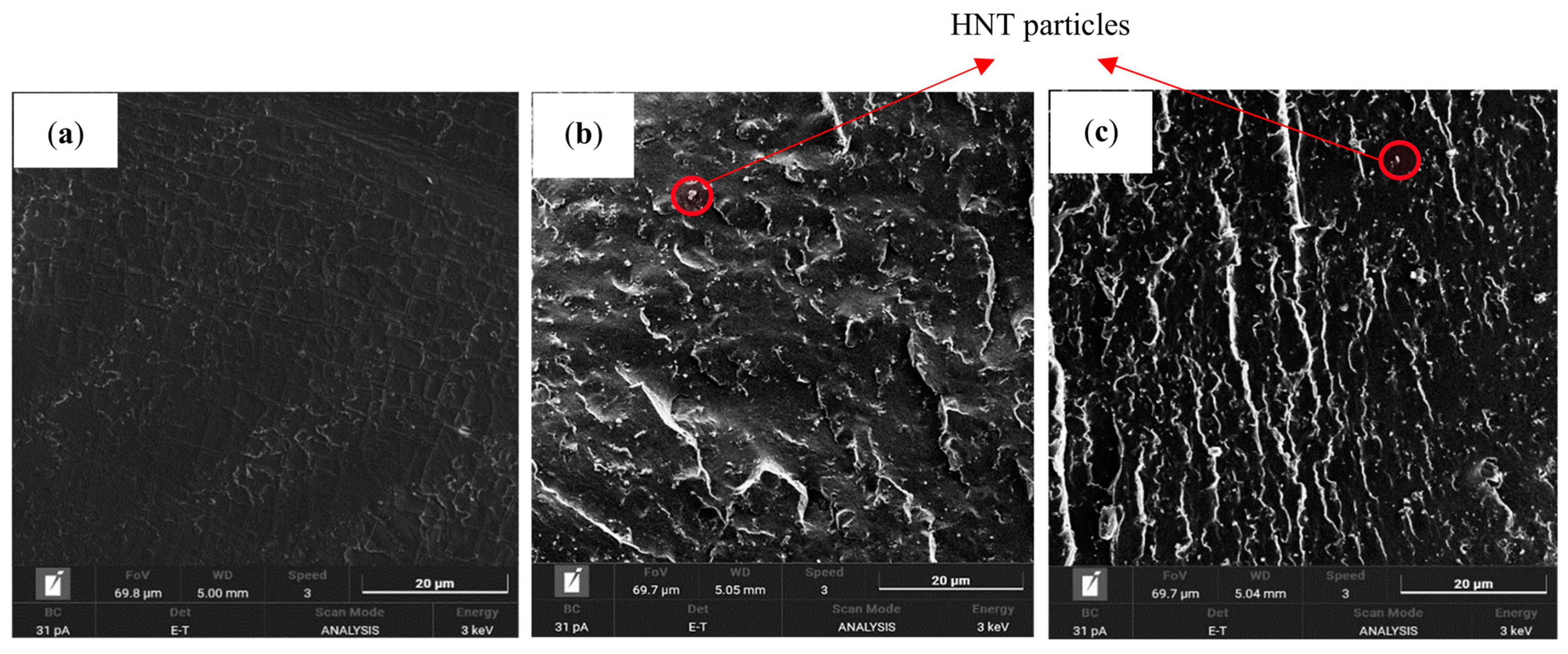 Nanomaterials 13 01975 g011