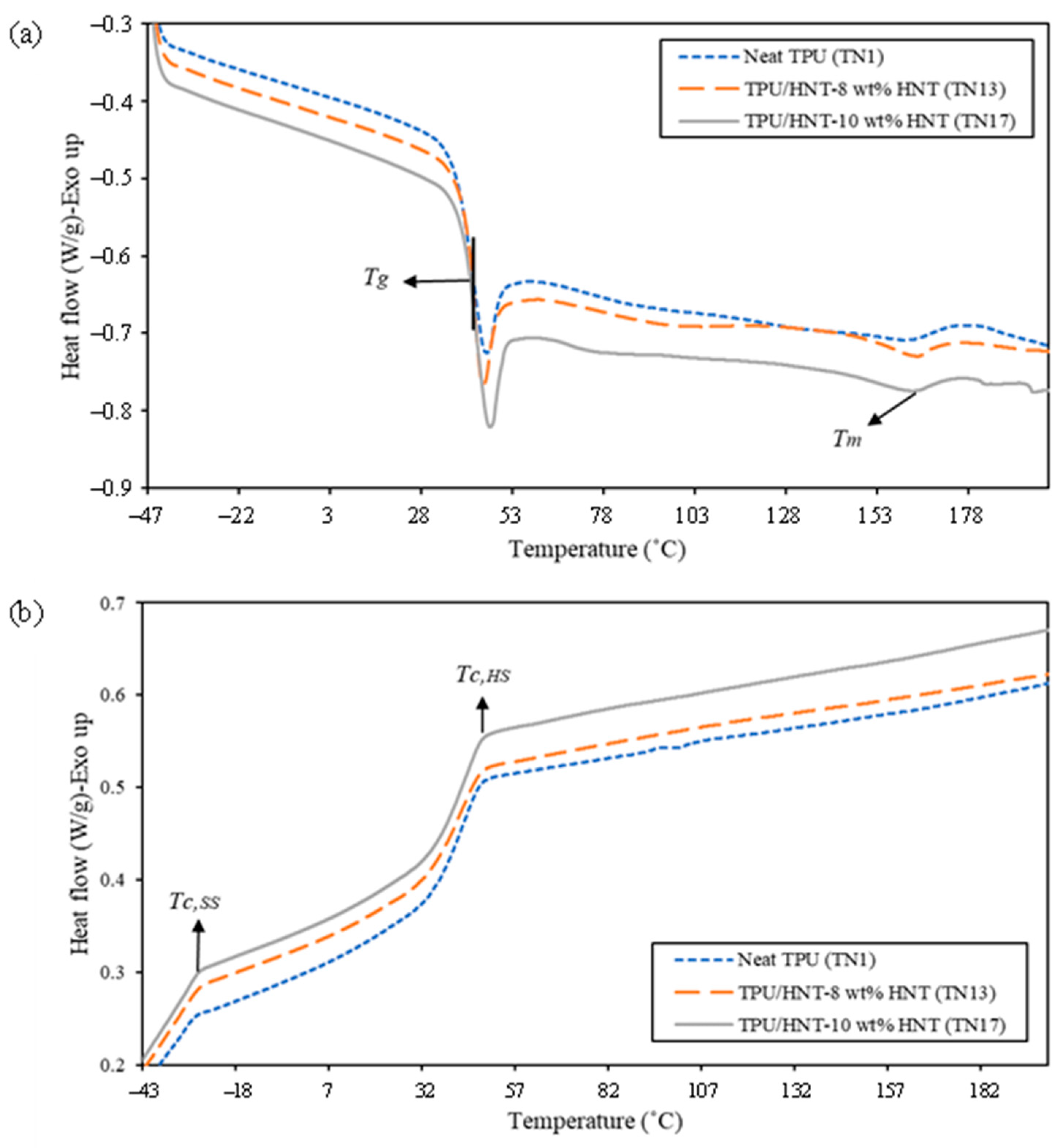 Nanomaterials 13 01975 g015