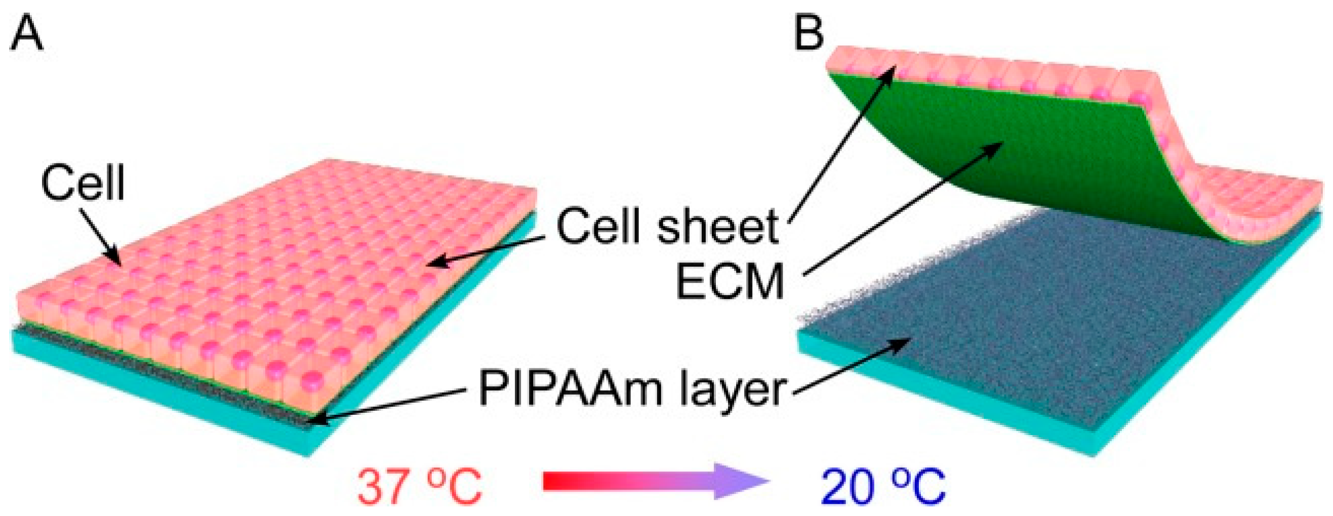 Nanomaterials 13 01976 g002