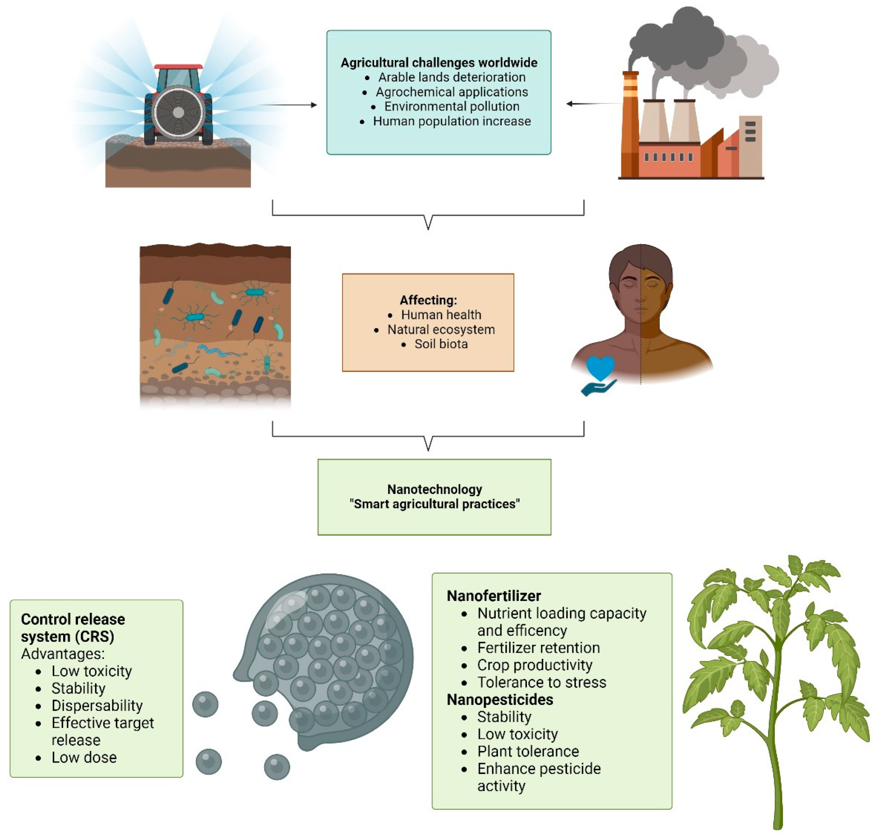 Nanomaterials 13 01978 g001