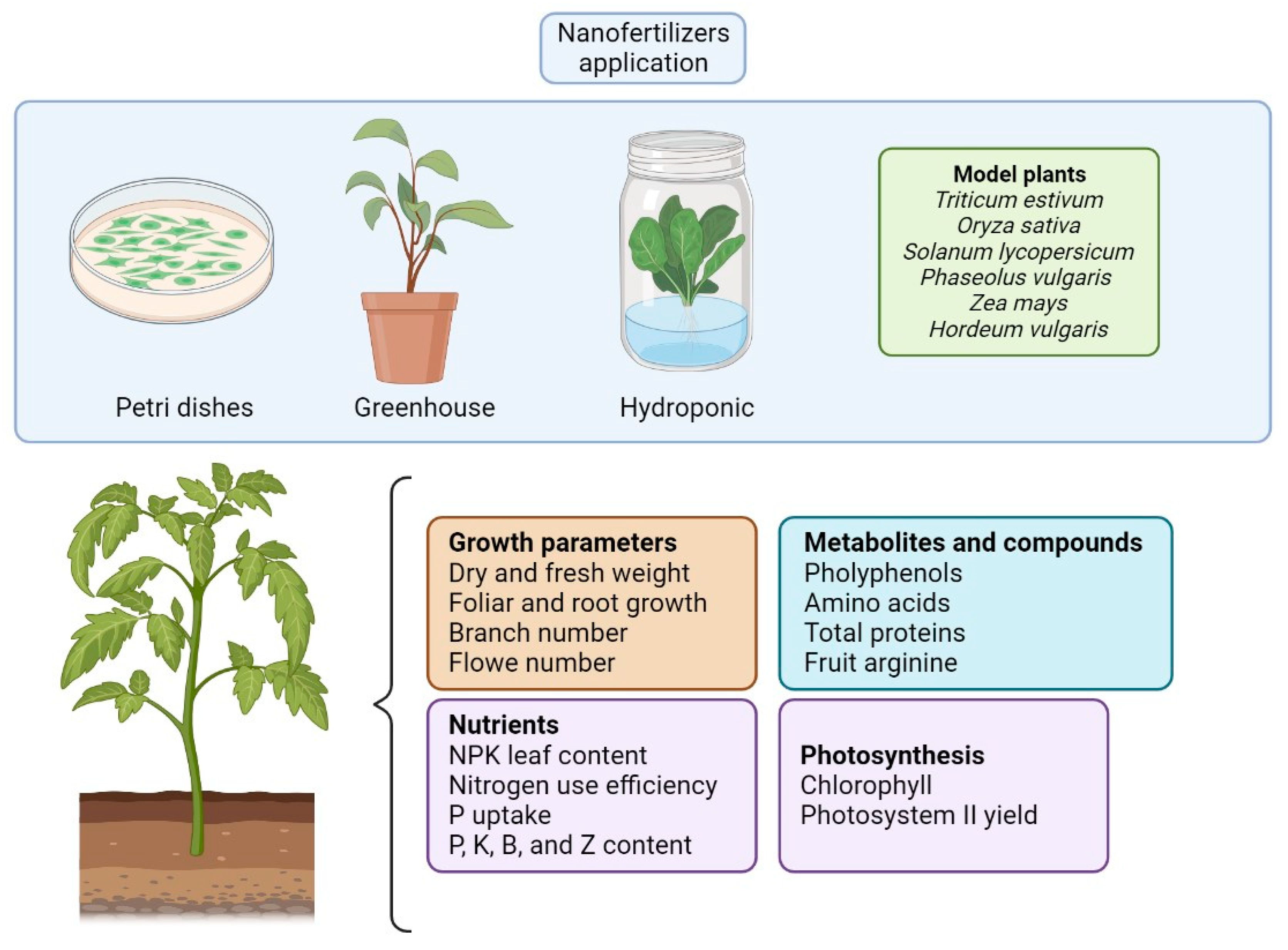 Nanomaterials 13 01978 g003