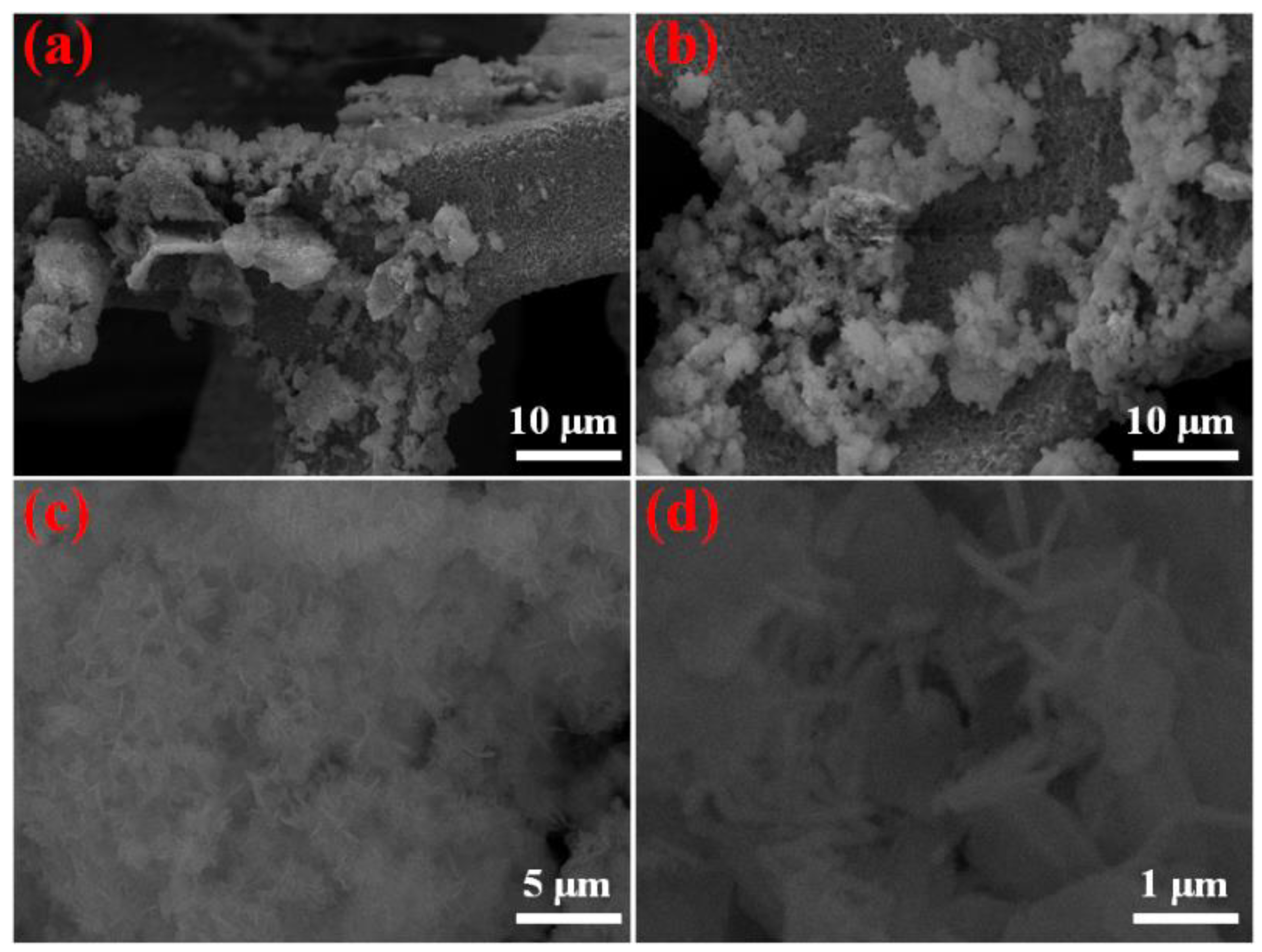 Nanomaterials 13 01981 g002