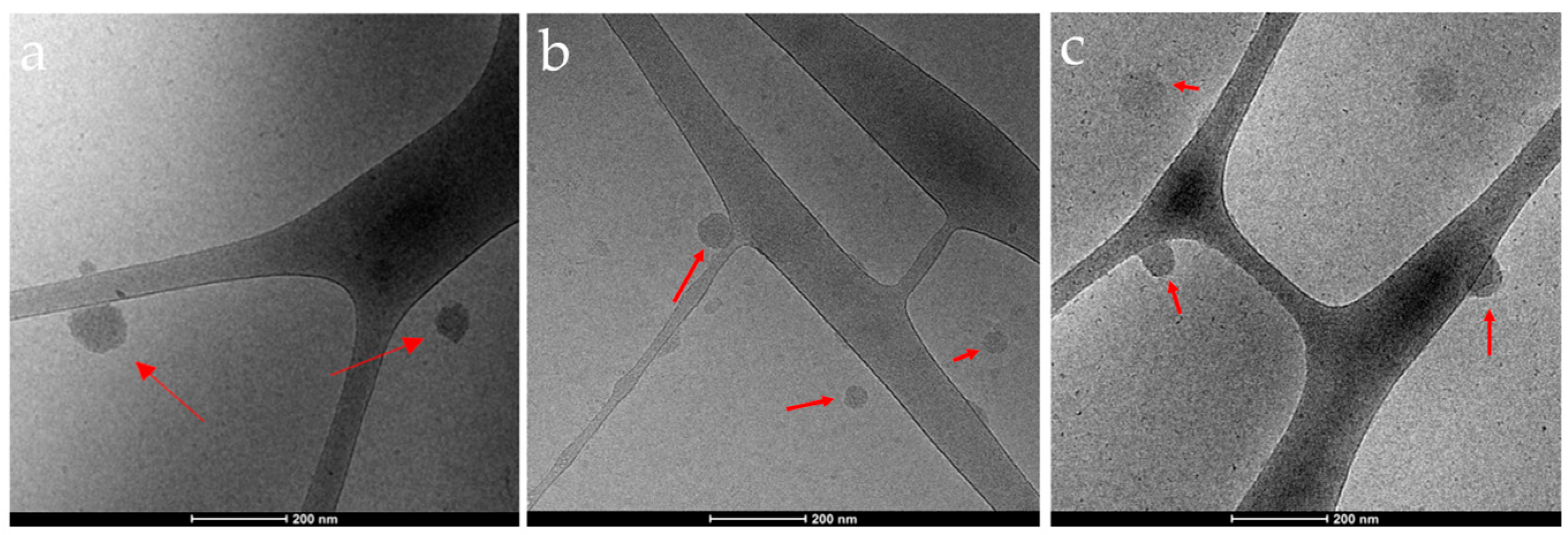 Nanomaterials 13 01988 g004