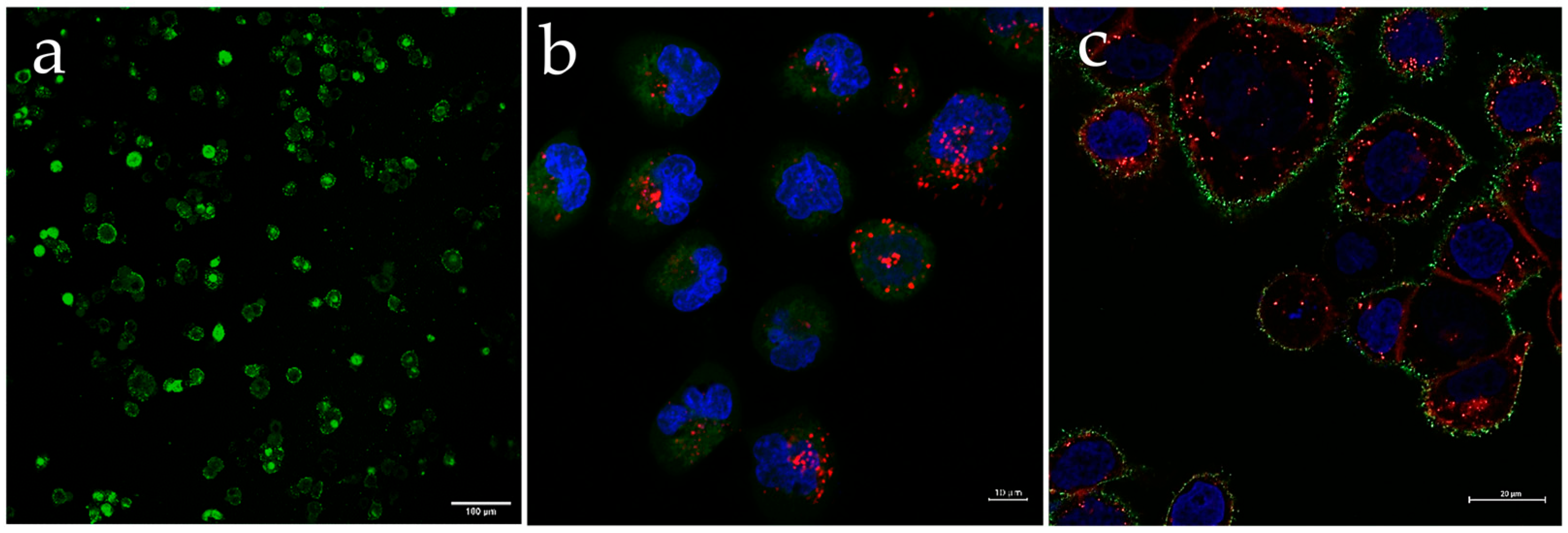 Nanomaterials 13 01988 g005