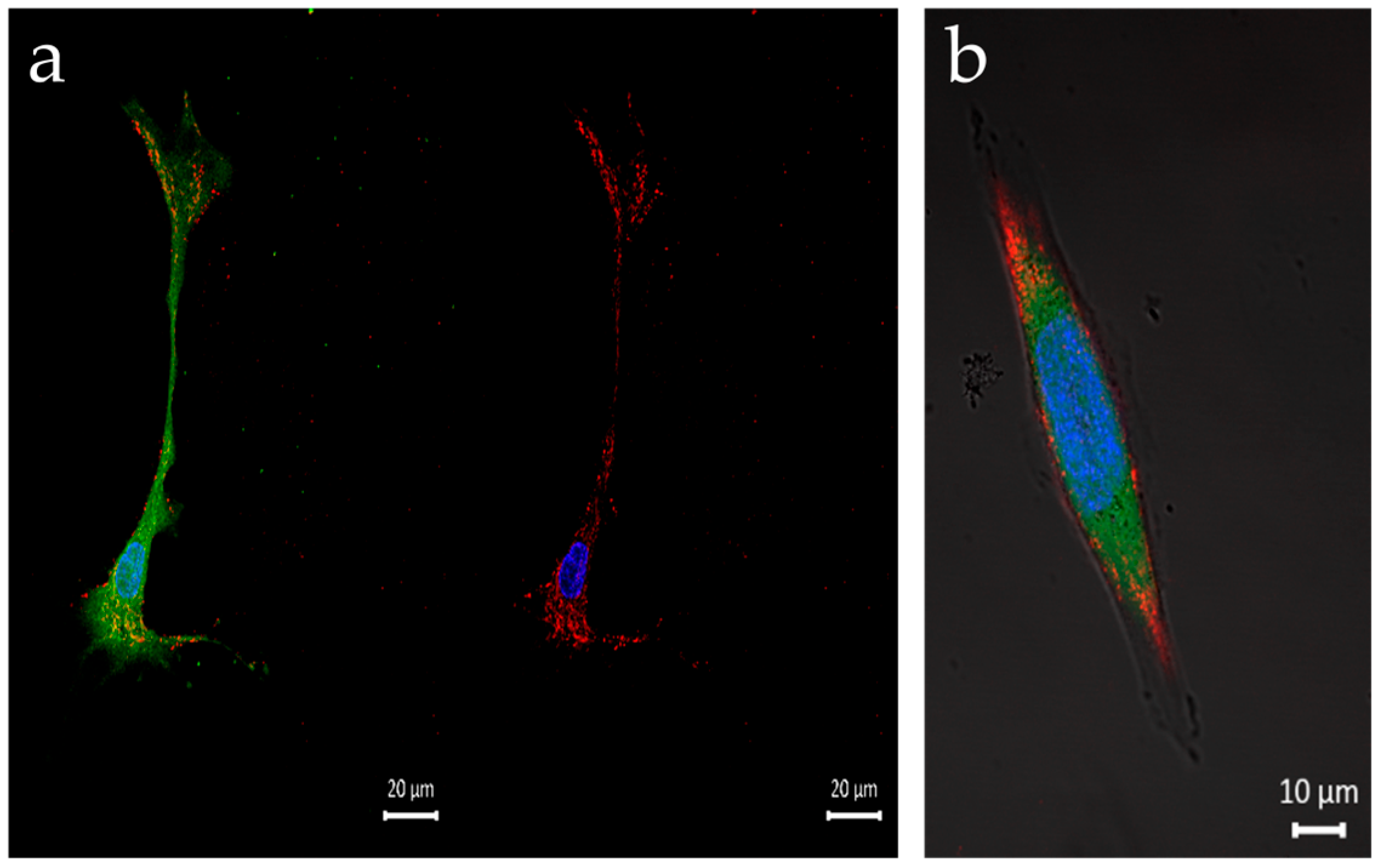 Nanomaterials 13 01988 g006