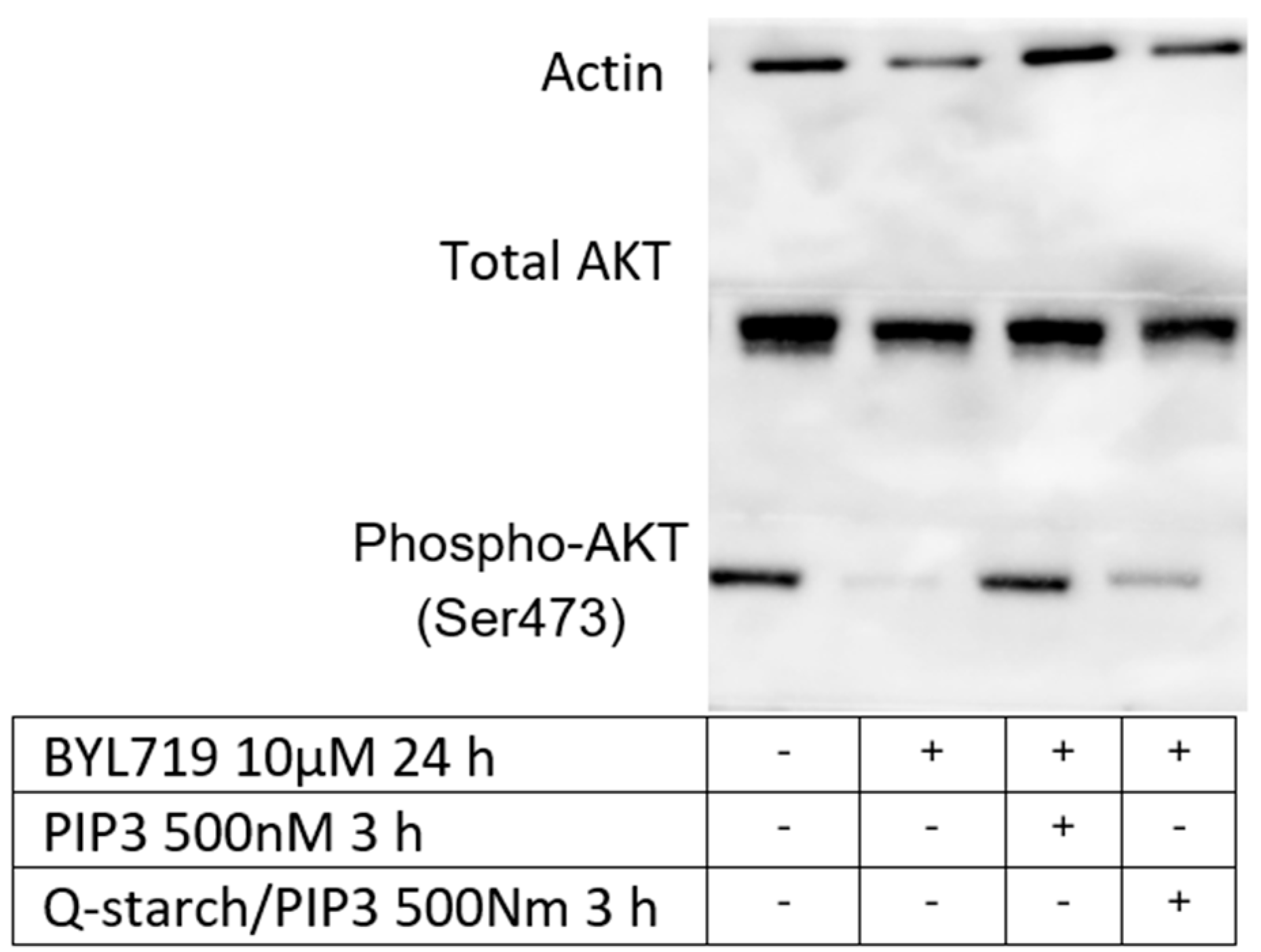 Nanomaterials 13 01988 g009
