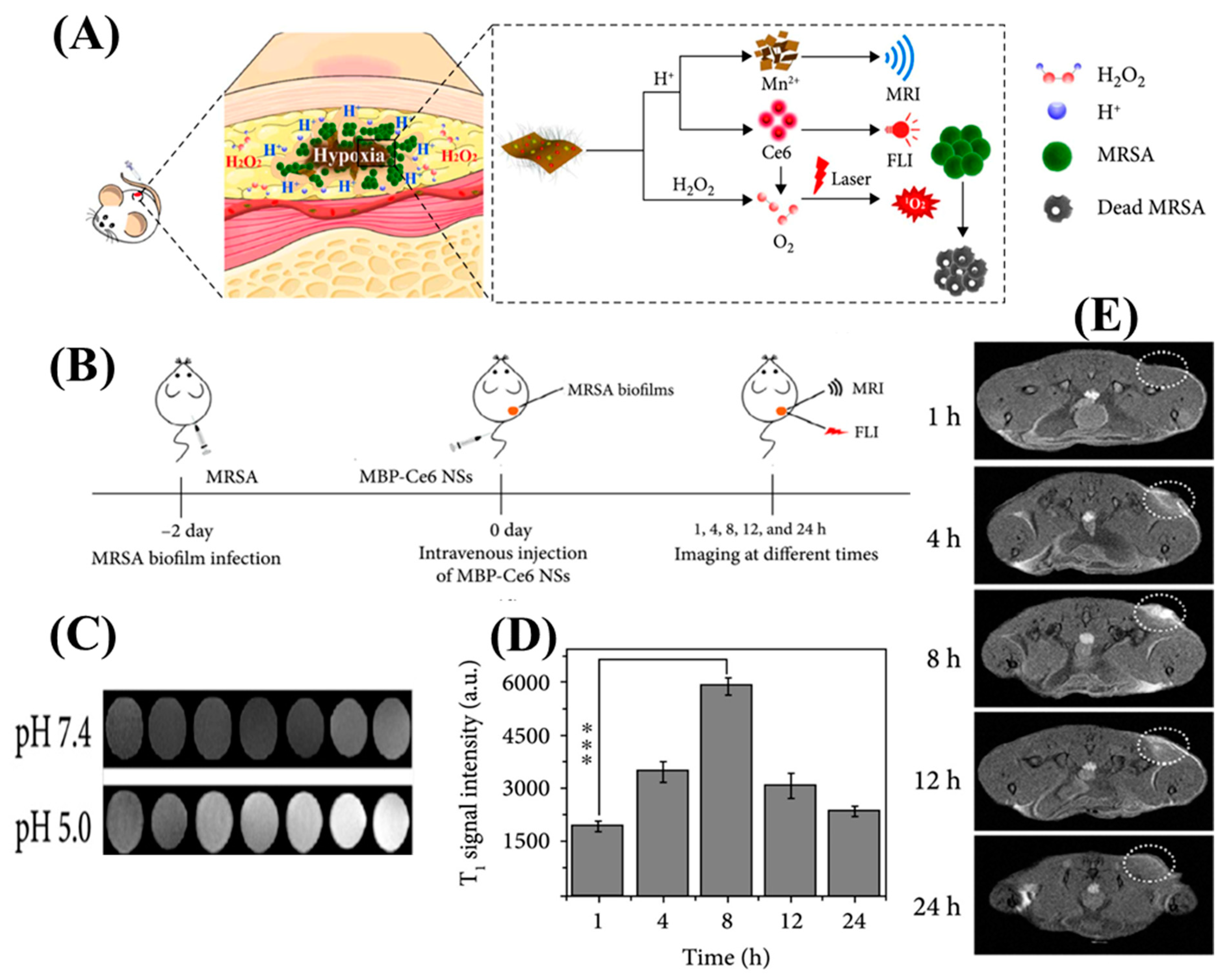 Nanomaterials 13 02003 g003