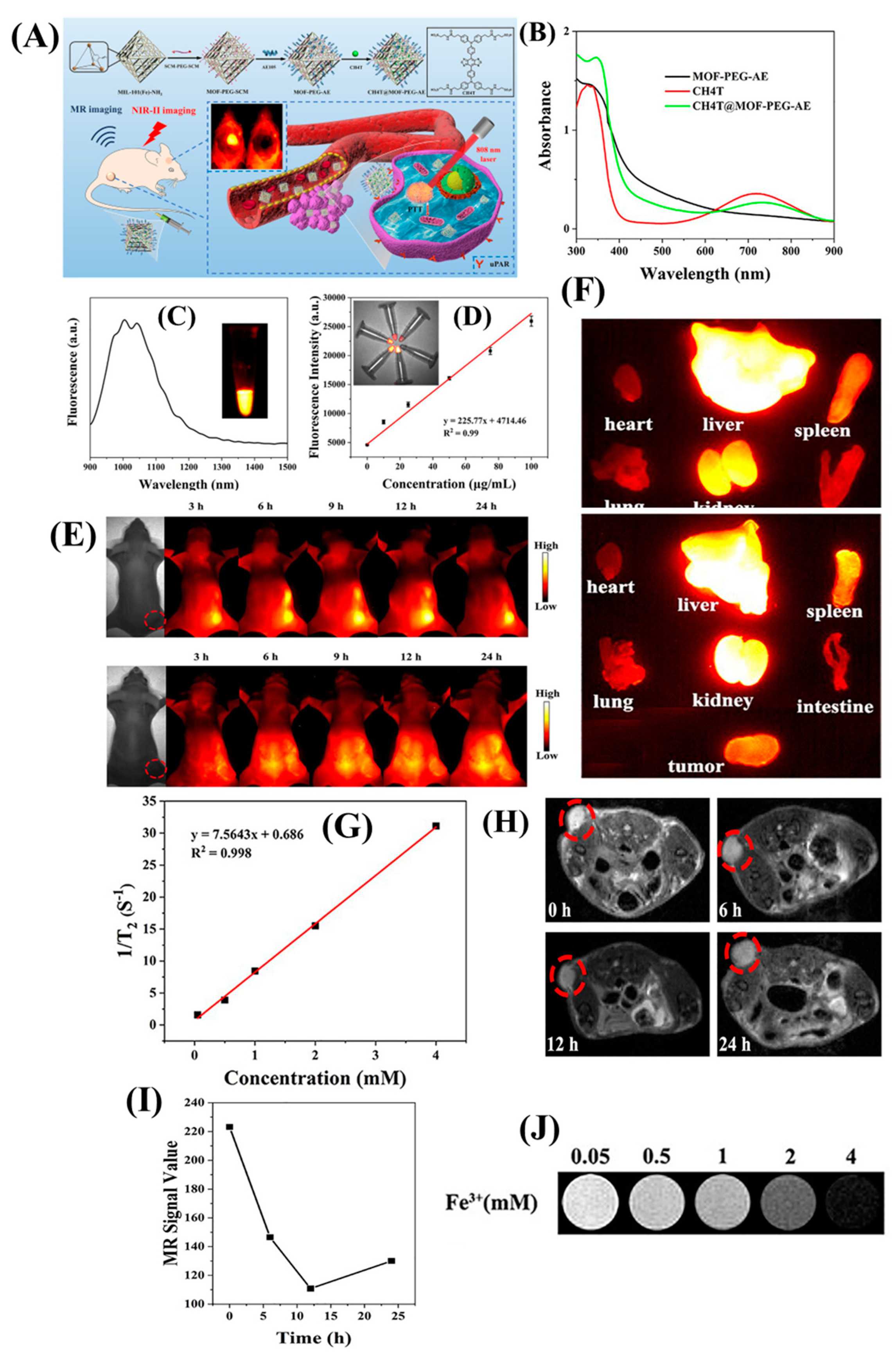 Nanomaterials 13 02003 g005