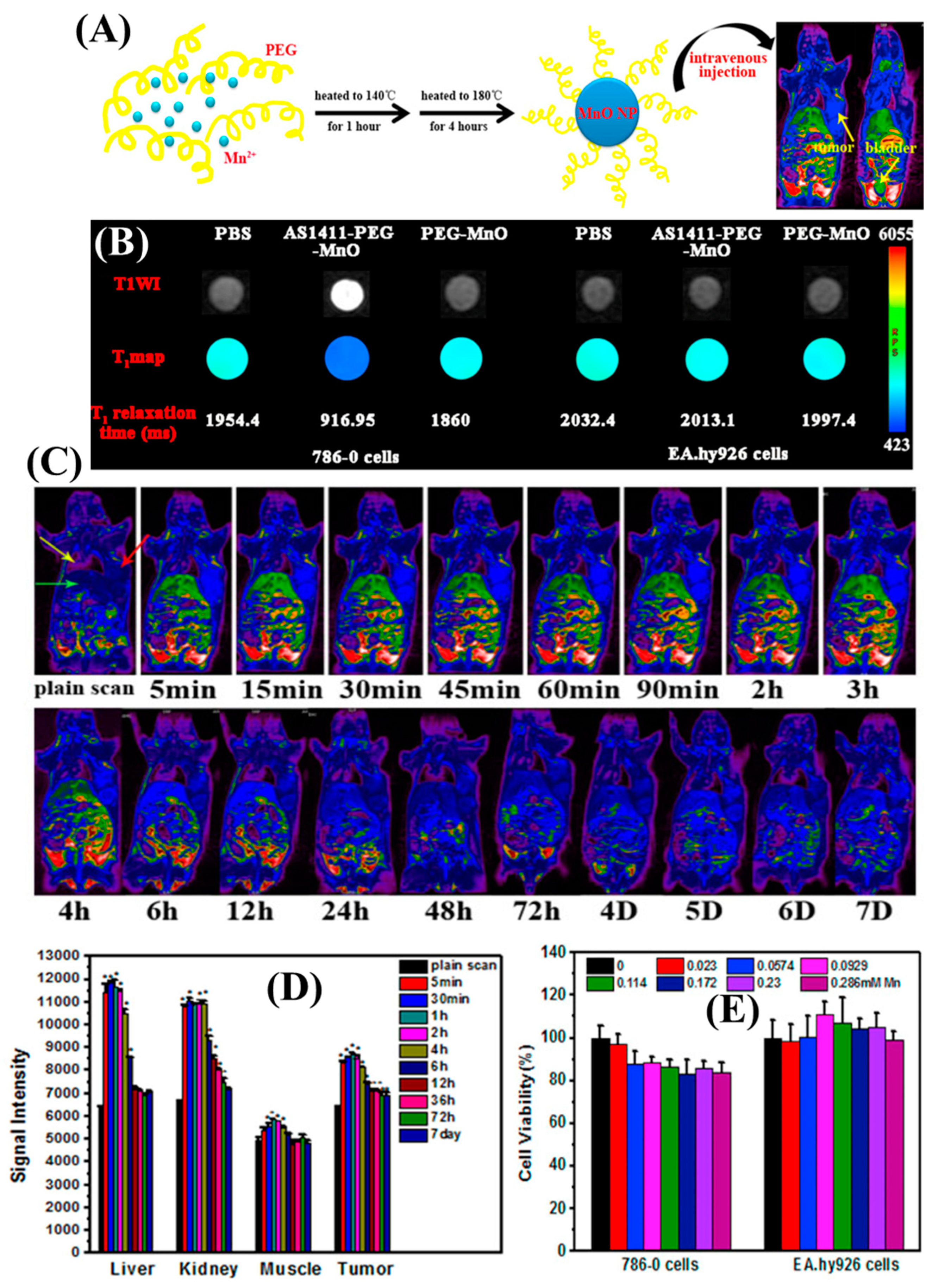 Nanomaterials 13 02003 g006