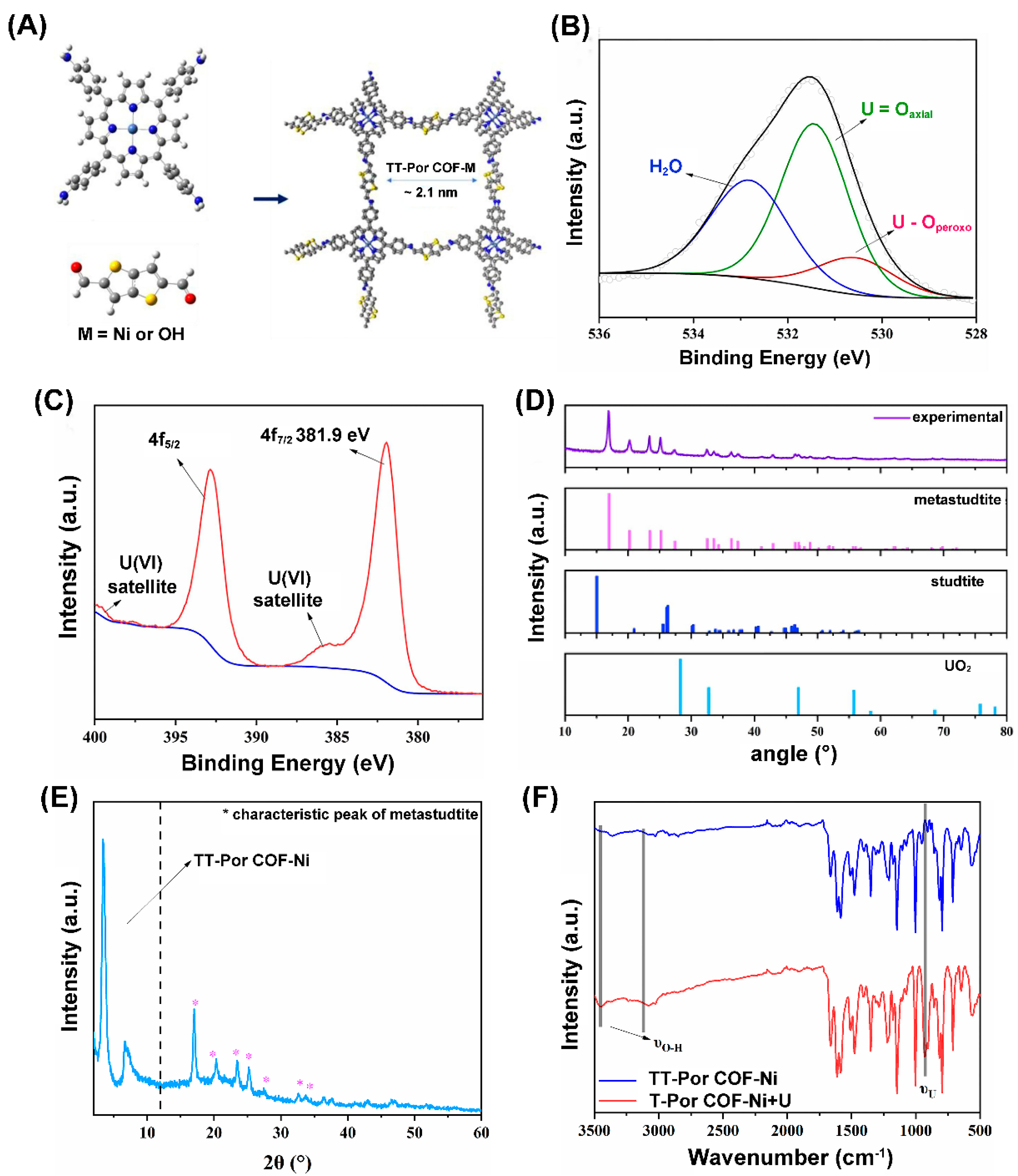 Nanomaterials 13 02005 g002