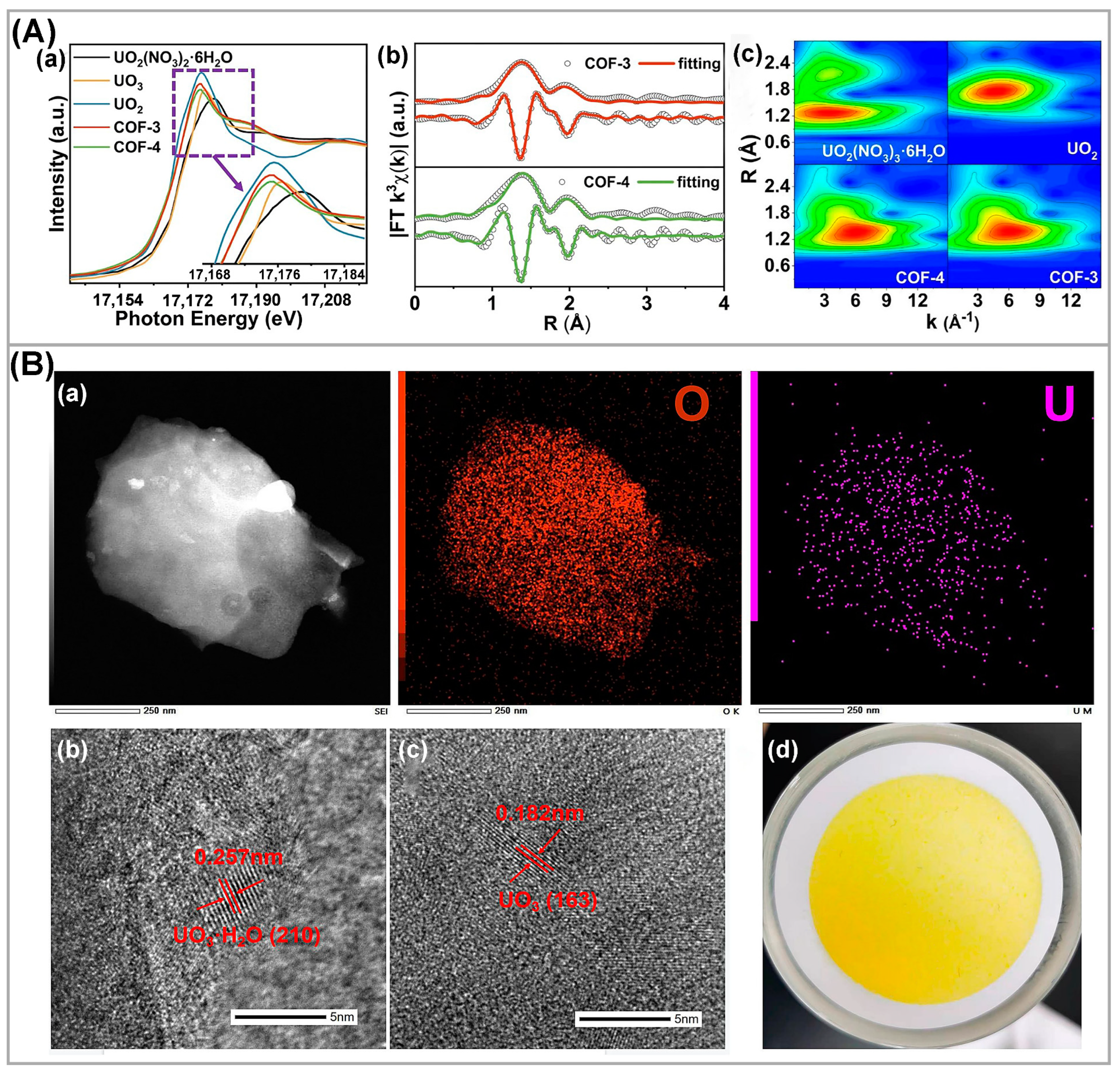 Nanomaterials 13 02005 g003