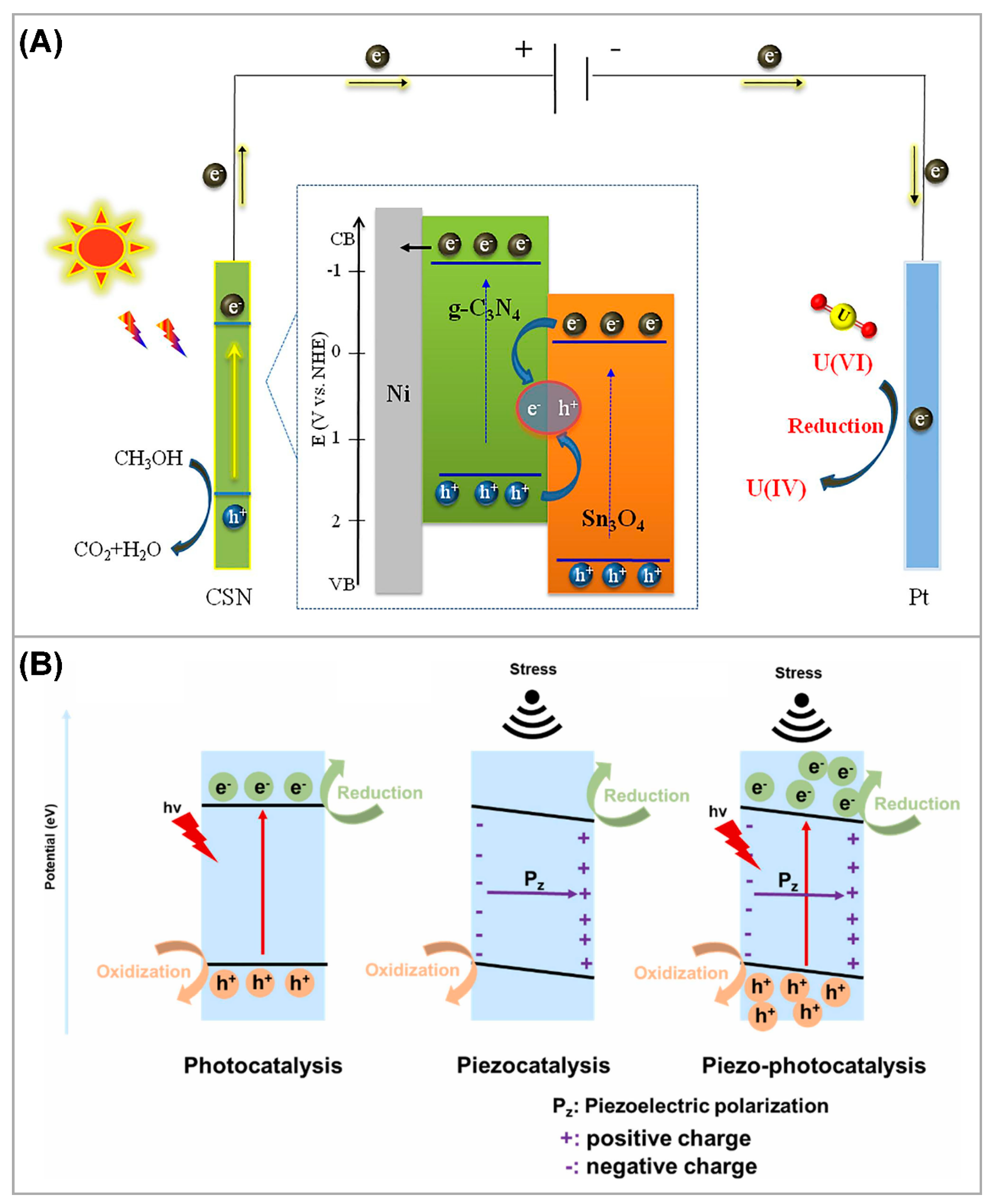 Nanomaterials 13 02005 g011
