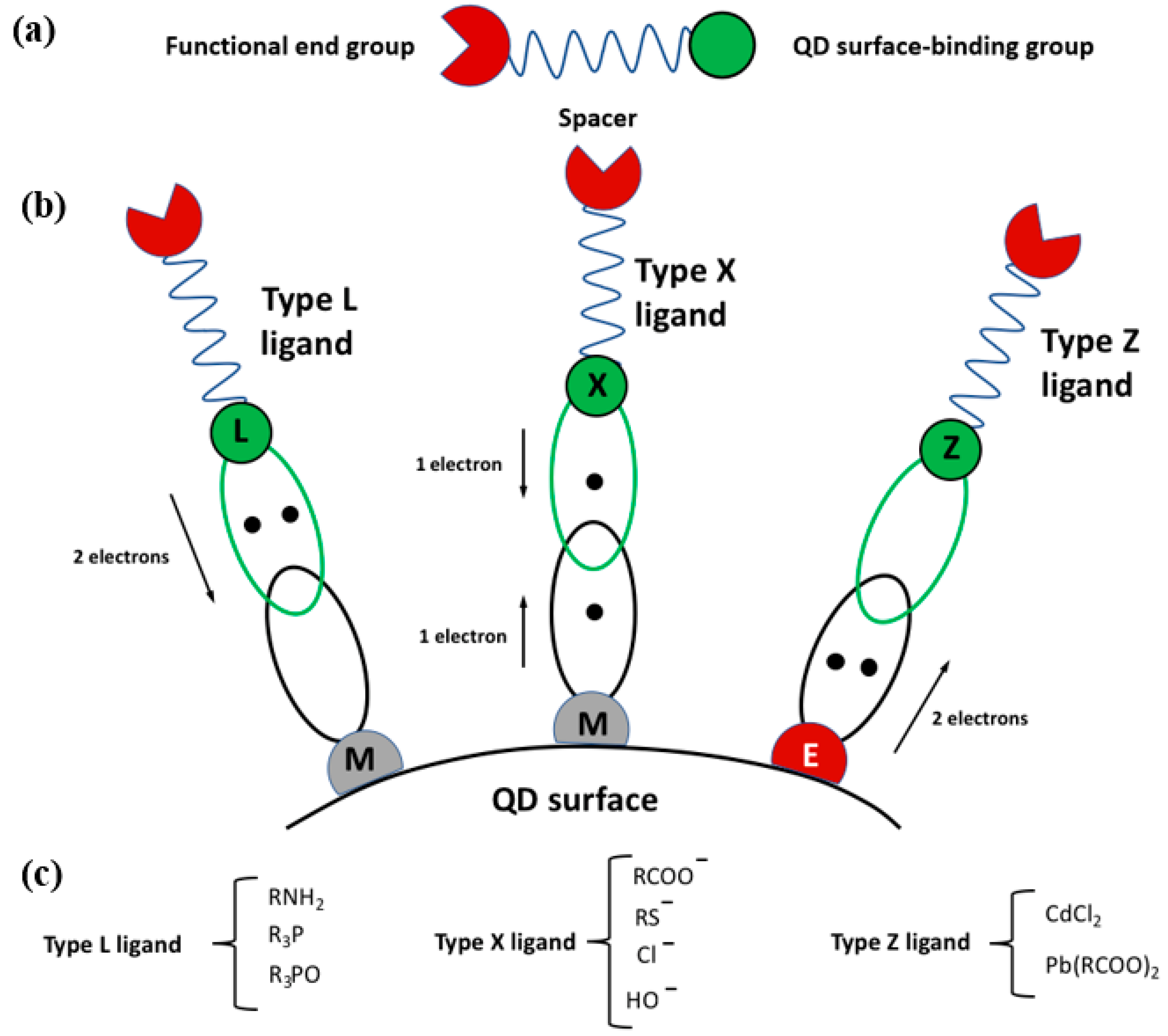 Nanomaterials 13 02008 g002