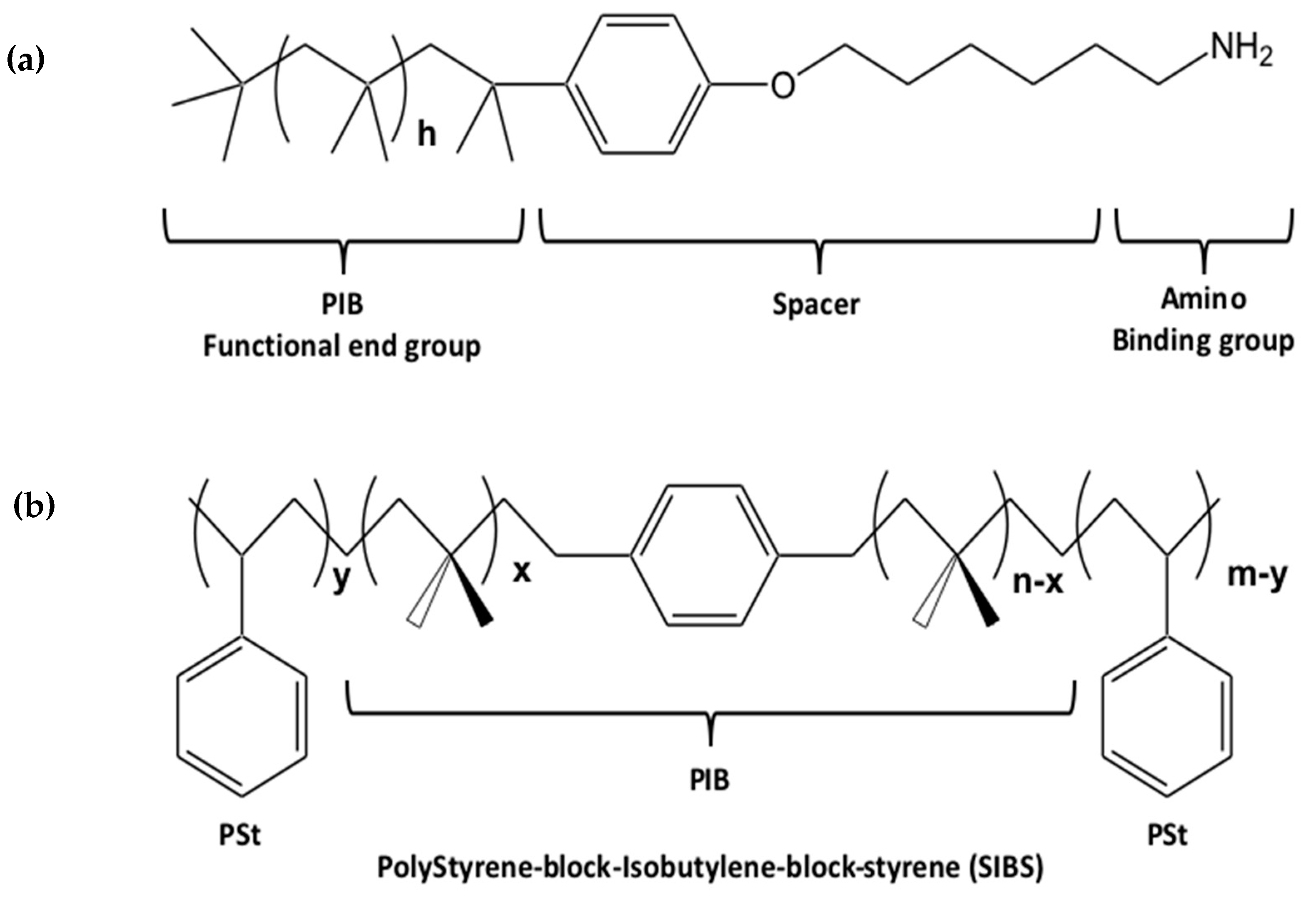 Nanomaterials 13 02008 g003