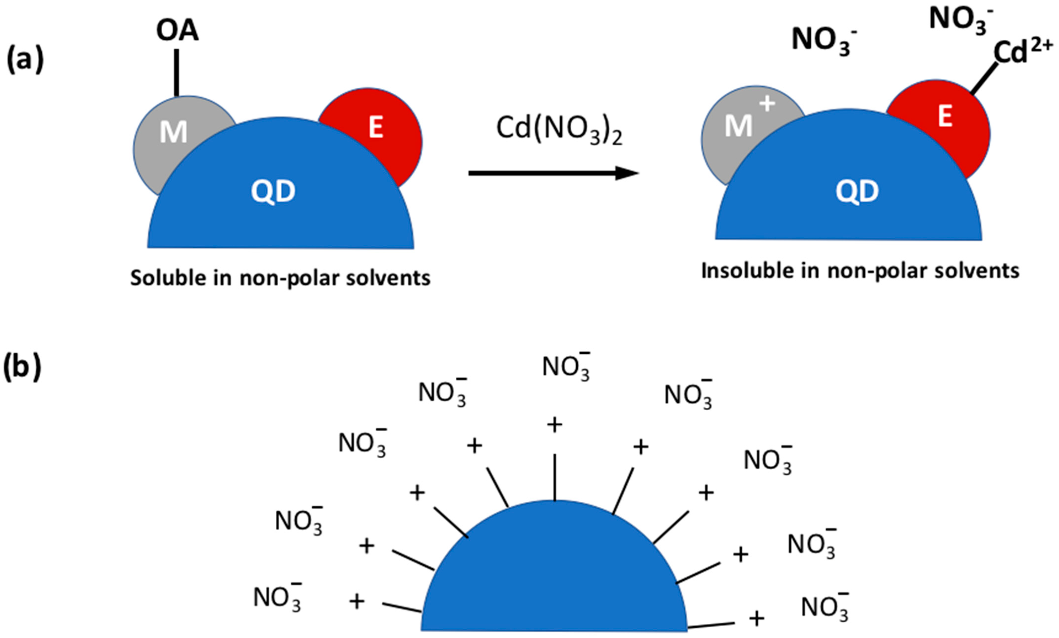 Nanomaterials 13 02008 g004