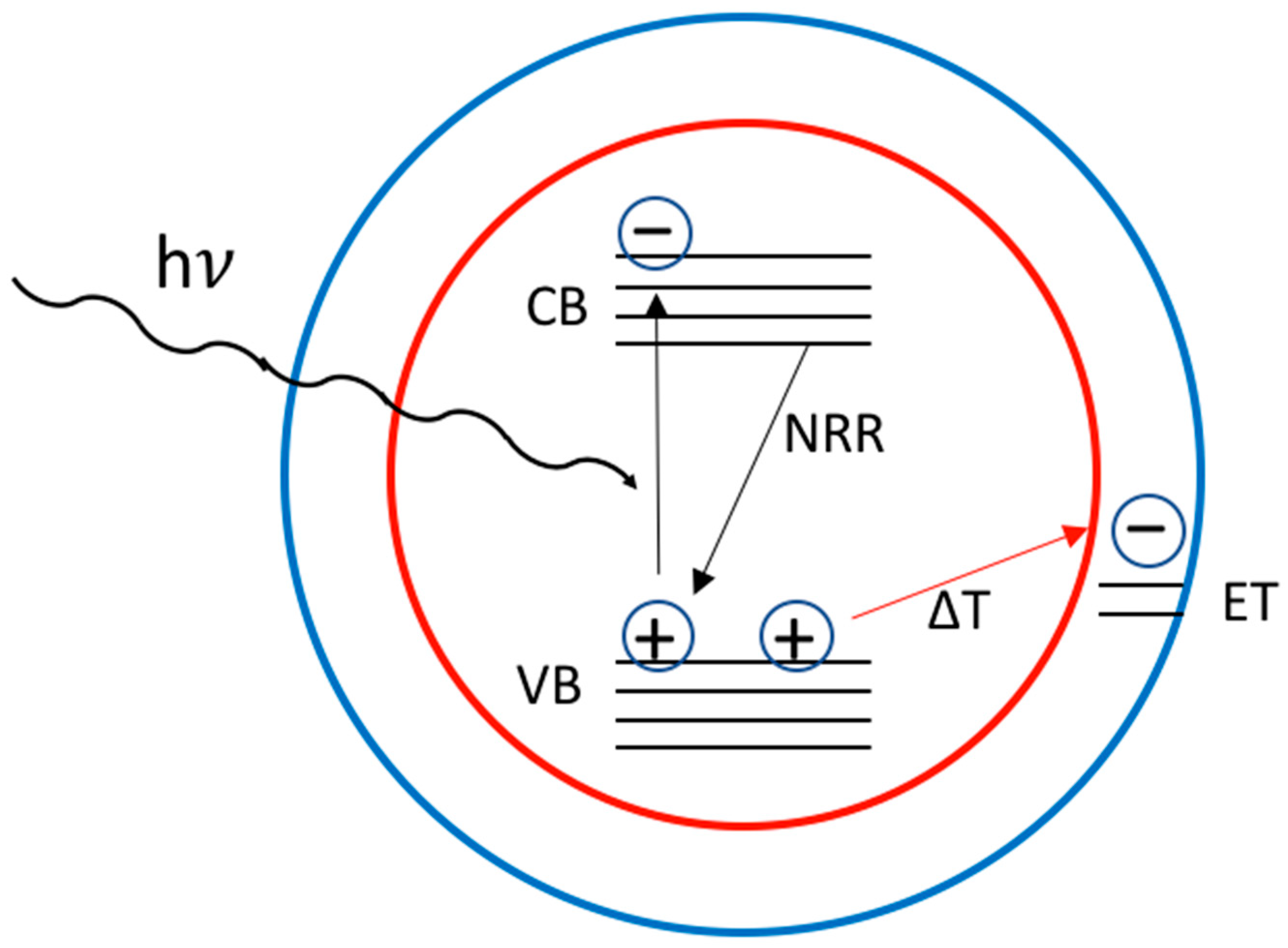 Nanomaterials 13 02008 g007