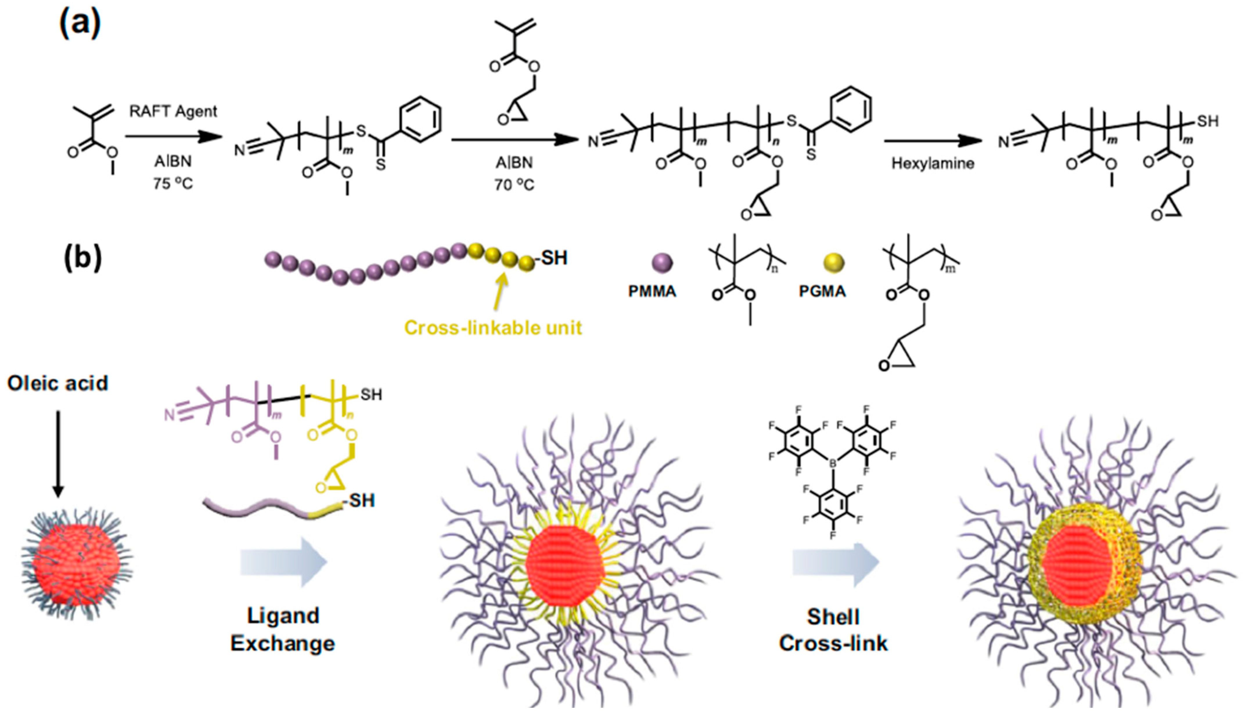 Nanomaterials 13 02008 g010