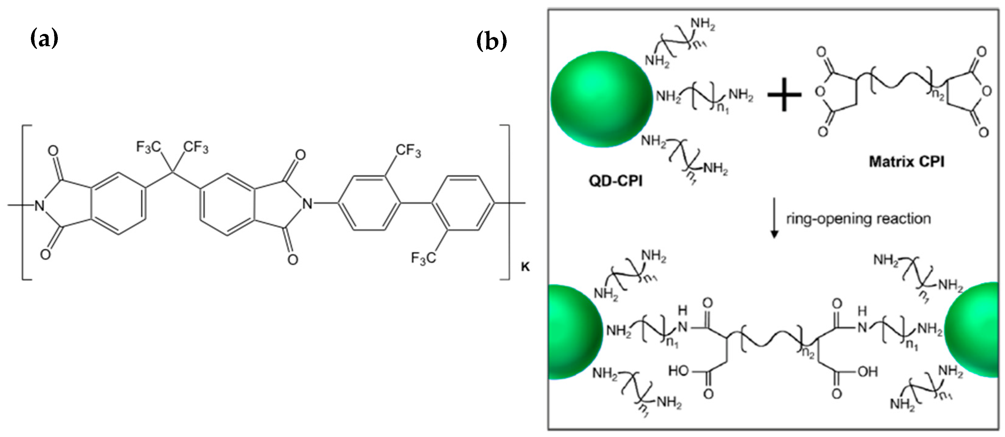Nanomaterials 13 02008 g013