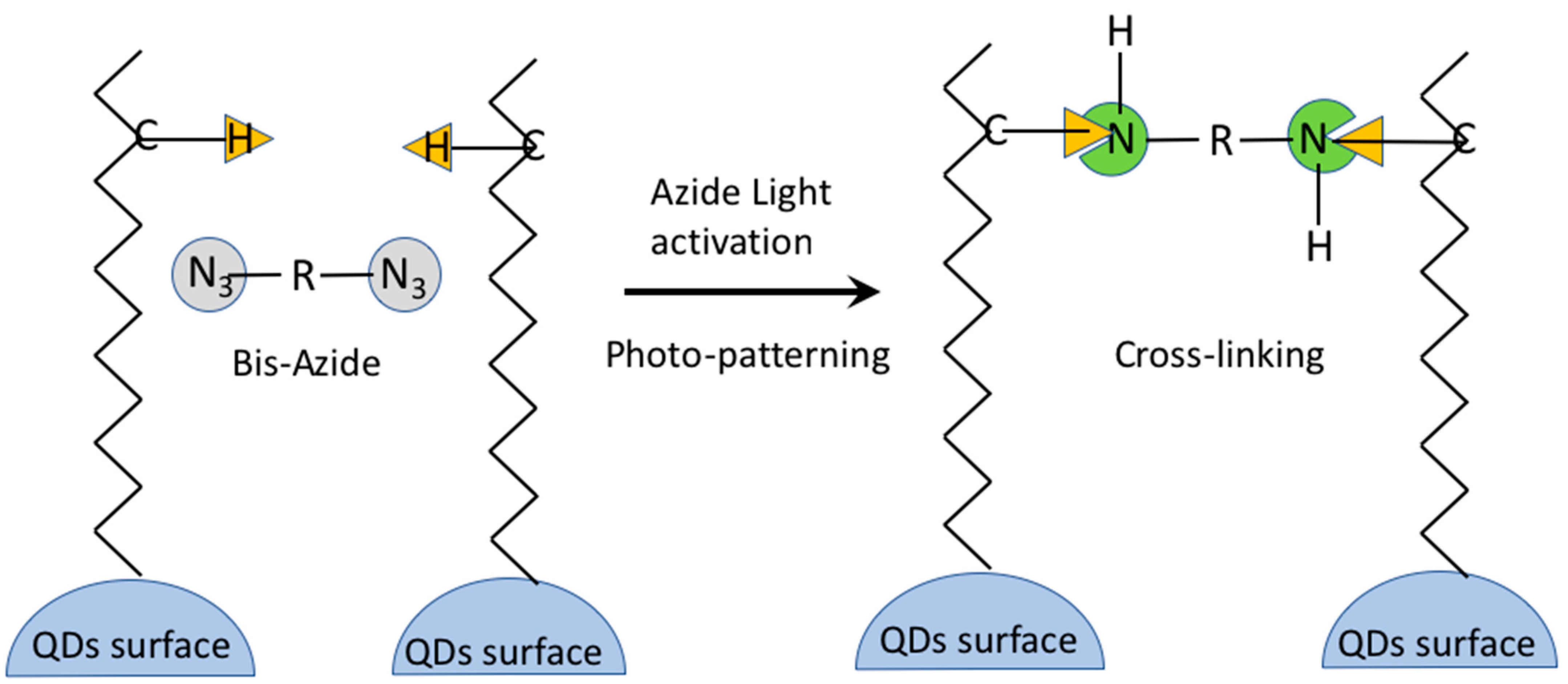 Nanomaterials 13 02008 g023