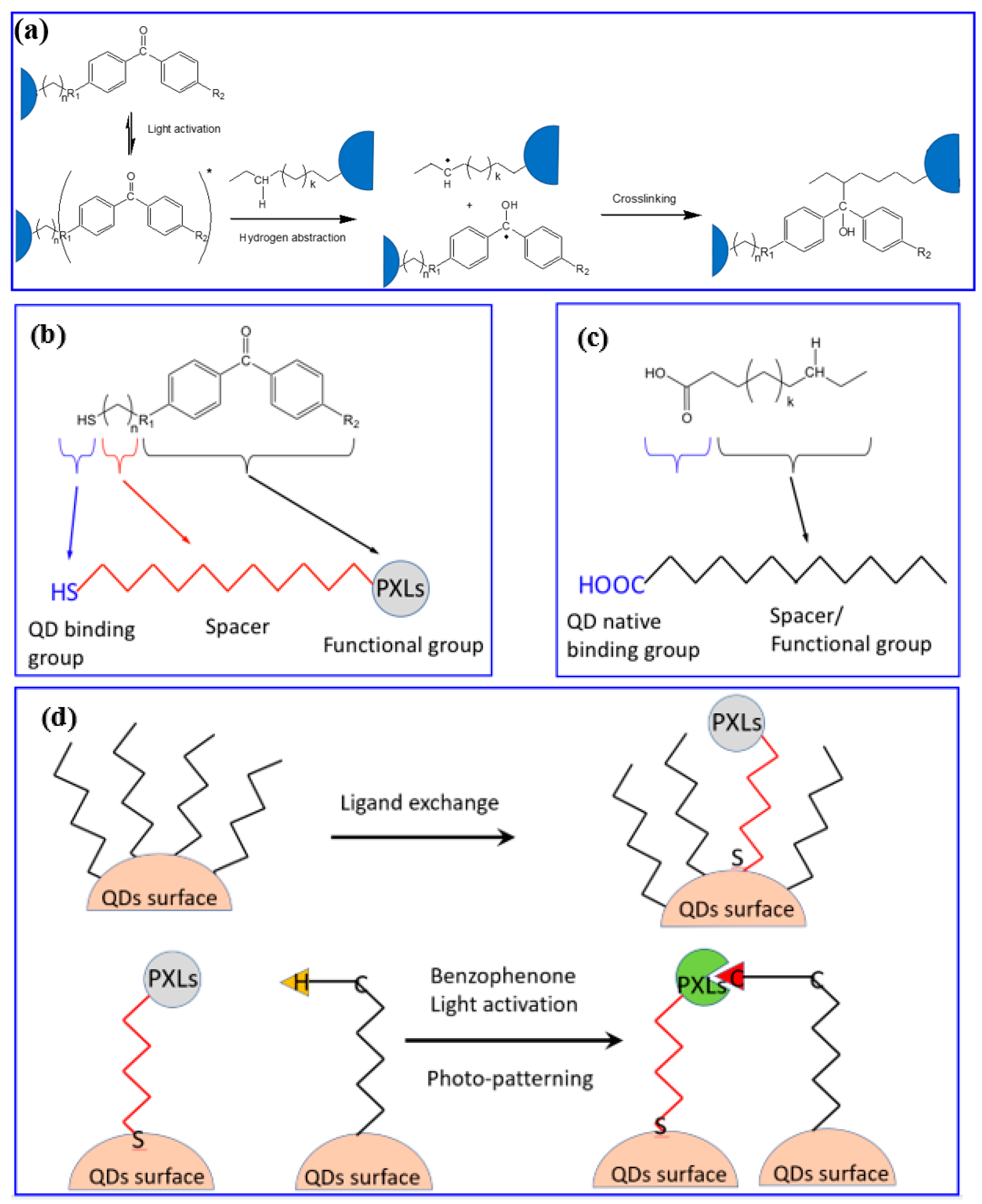 Nanomaterials 13 02008 g024