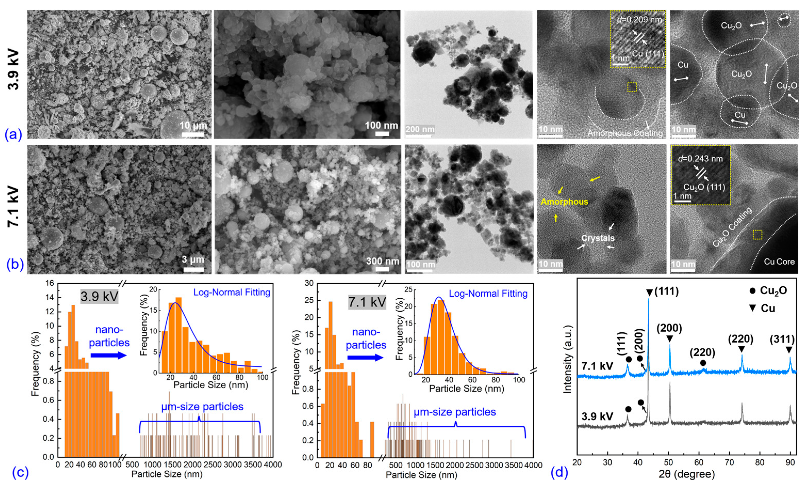 Nanomaterials 13 02021 g007