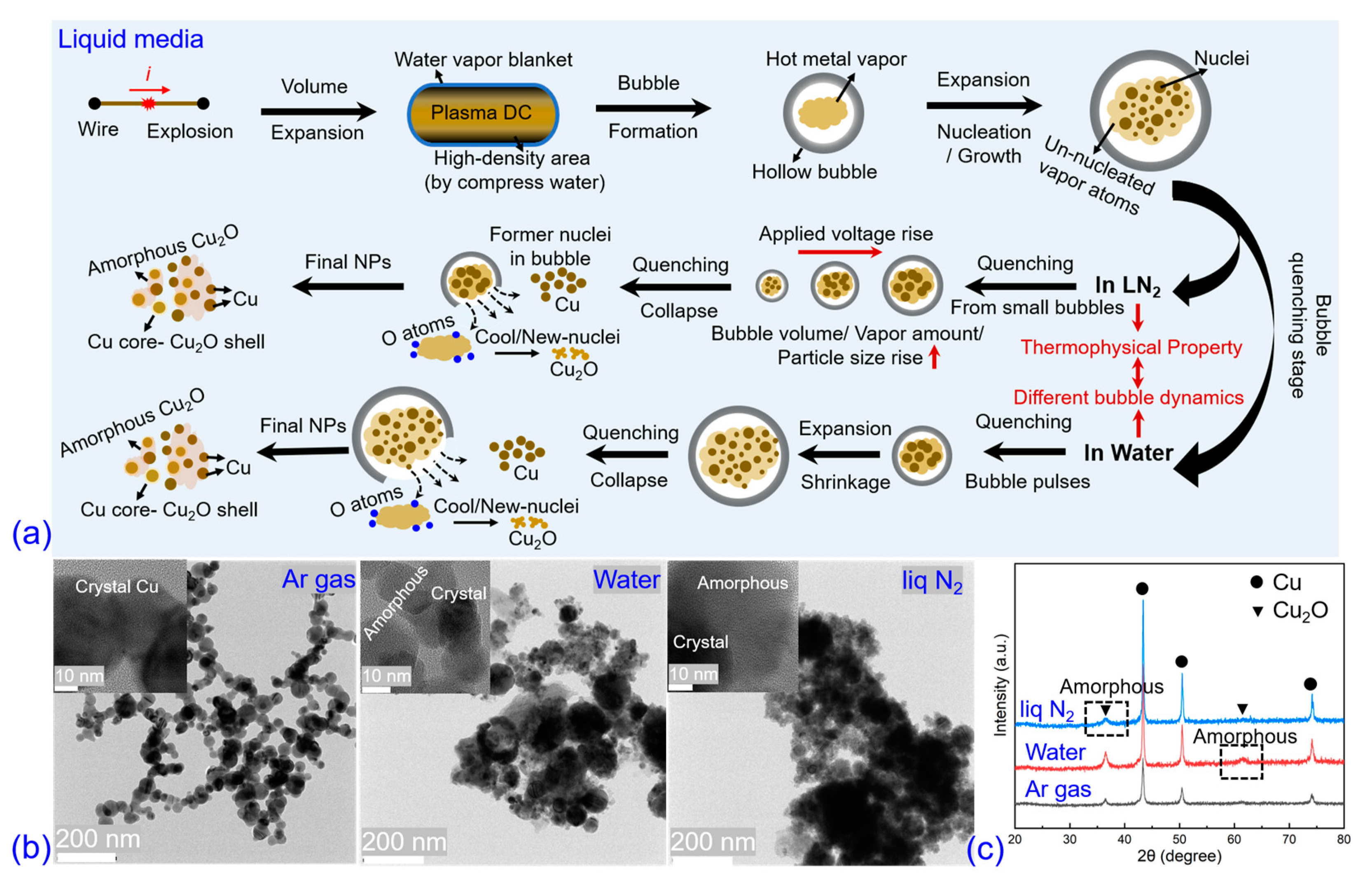 Nanomaterials 13 02021 g008