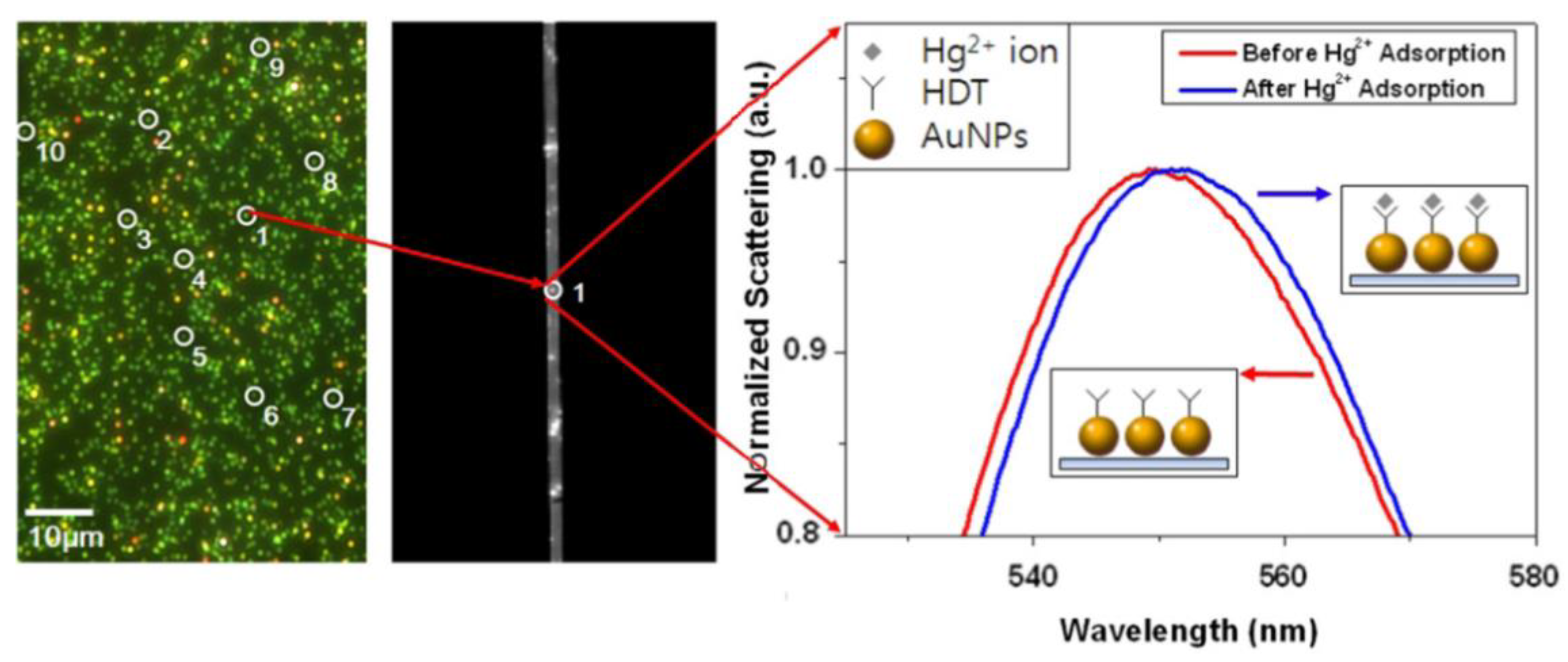 Nanomaterials 13 02027 g004 Nanomaterials 13 02027 g004
