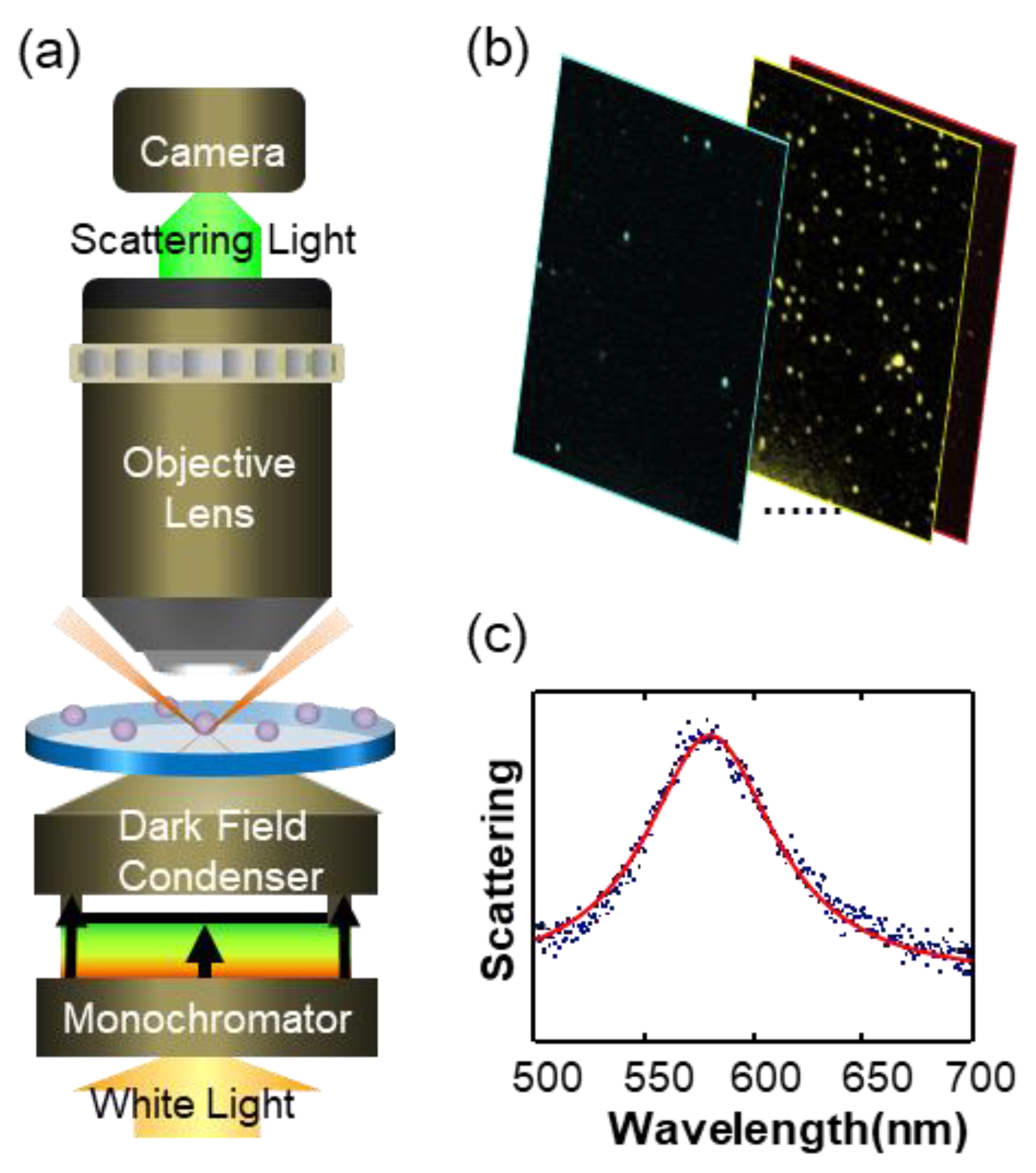 Nanomaterials 13 02027 g005 Nanomaterials 13 02027 g005