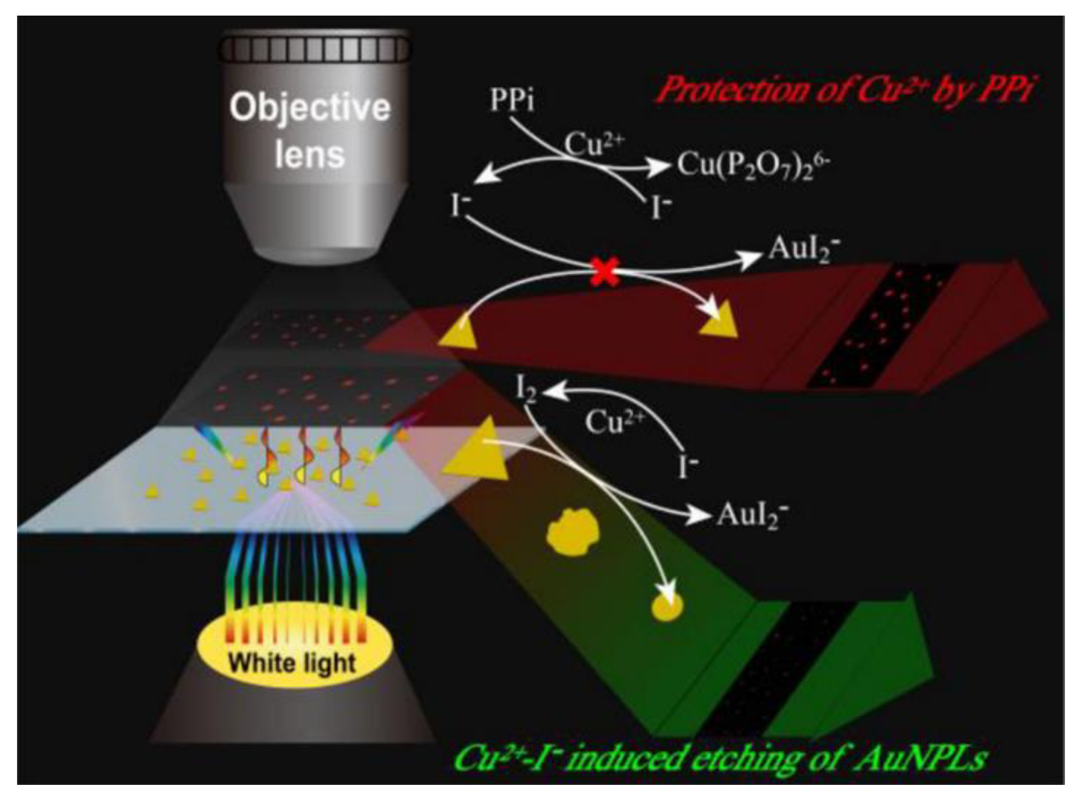 Nanomaterials 13 02027 g015 Nanomaterials 13 02027 g015
