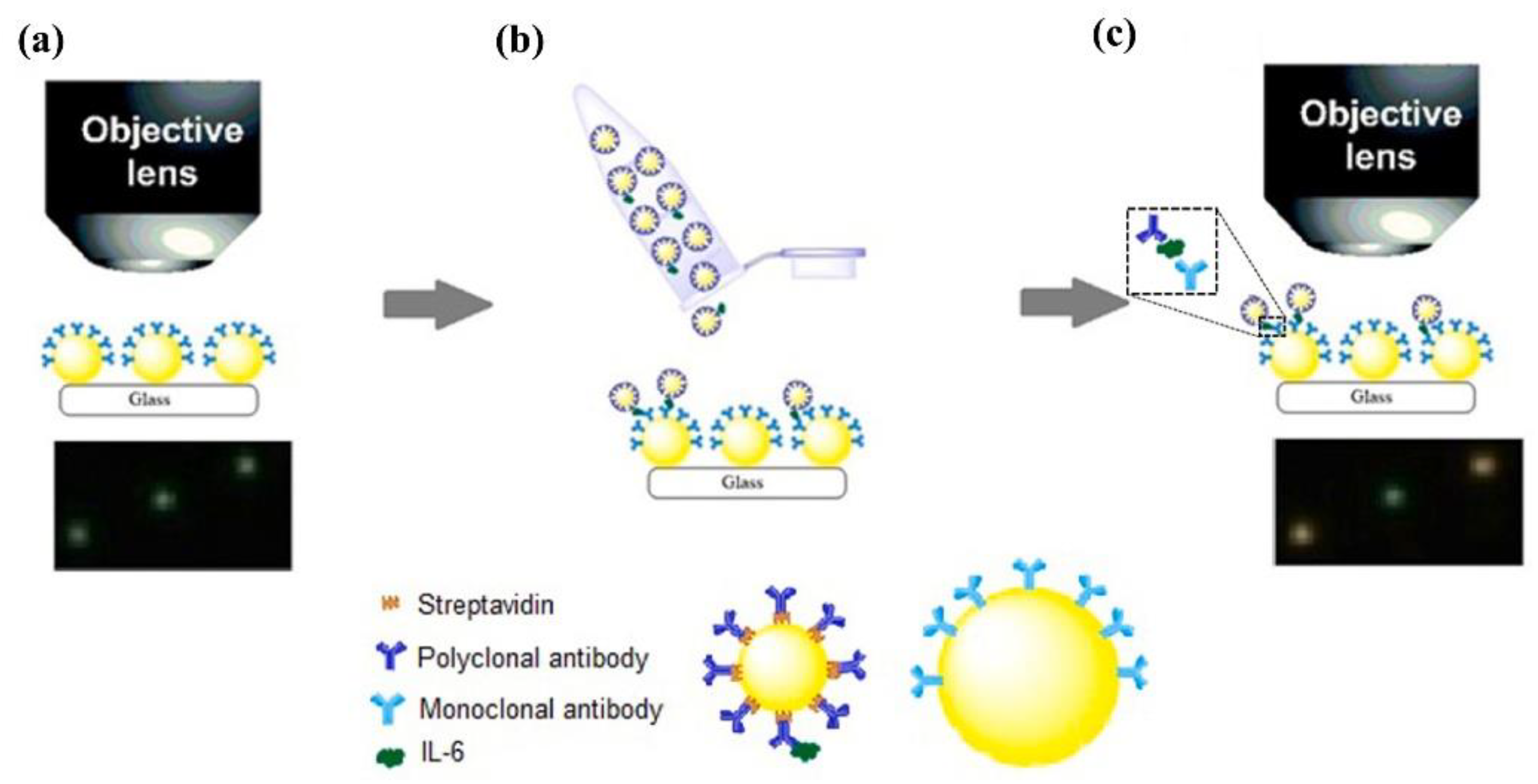Nanomaterials 13 02027 g017 Nanomaterials 13 02027 g017