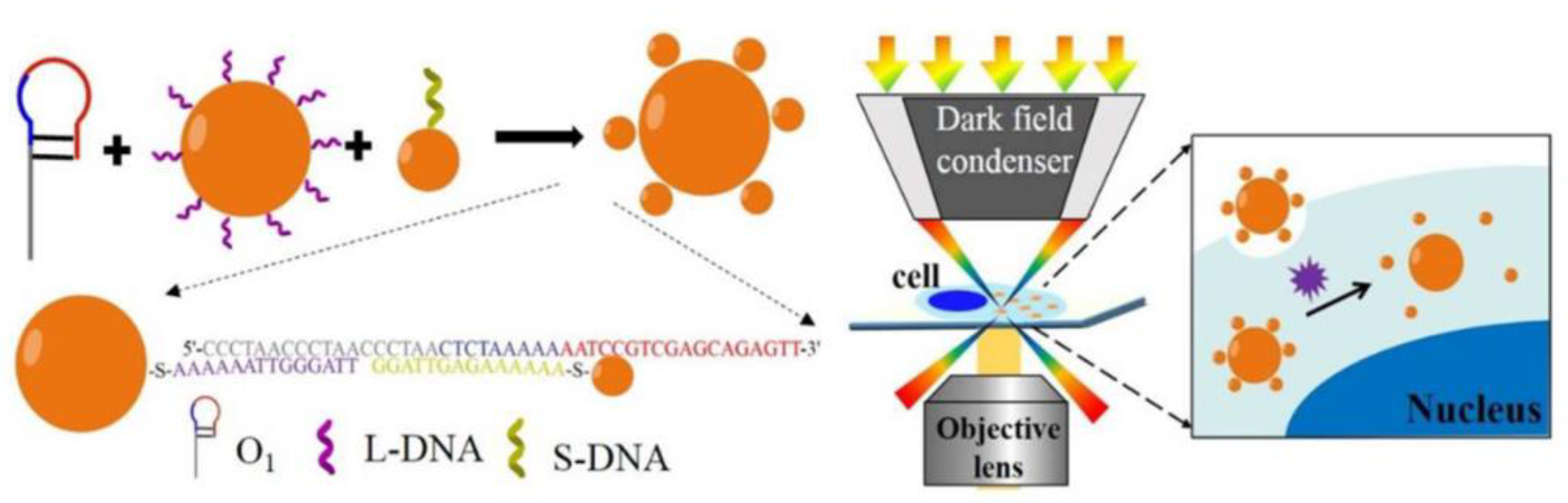 Nanomaterials 13 02027 g018 Nanomaterials 13 02027 g018
